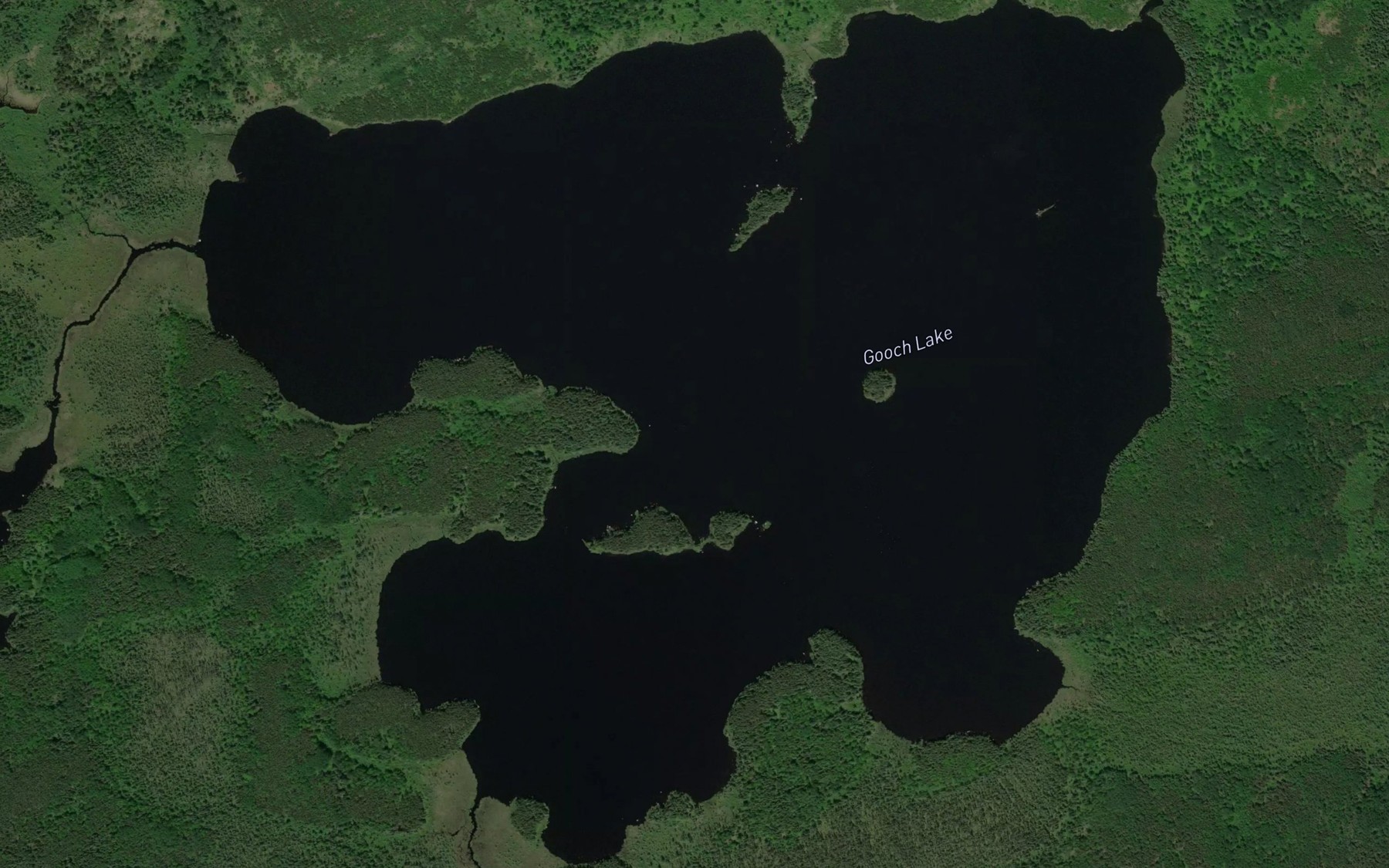 Satellite map of the Gooch Lake