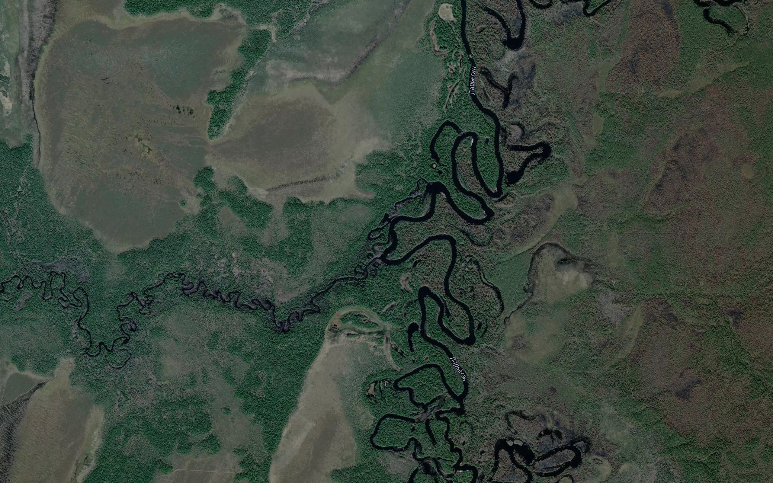 Gruzina