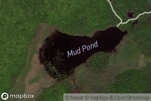 Mud Pond