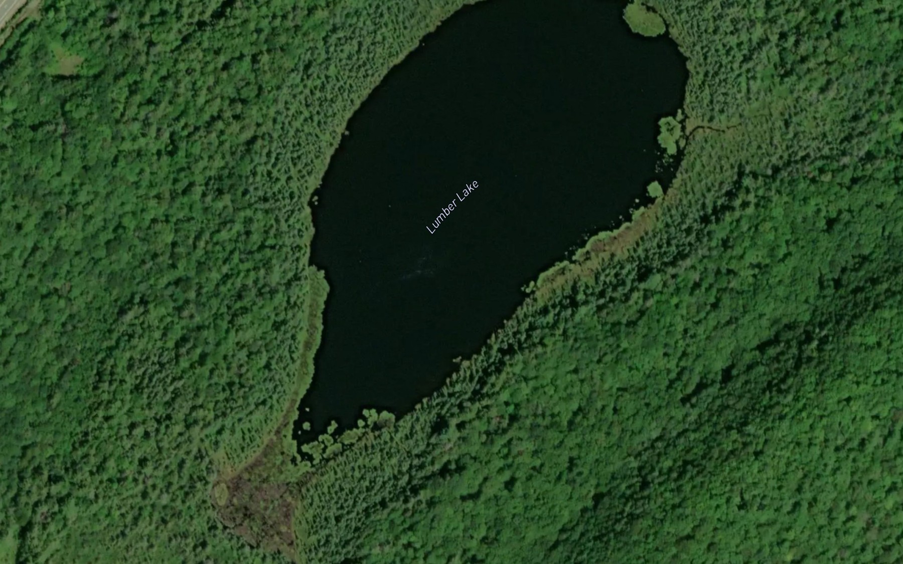 Satellite map of the Lumber Lake