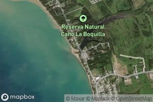 Cano Boquilla