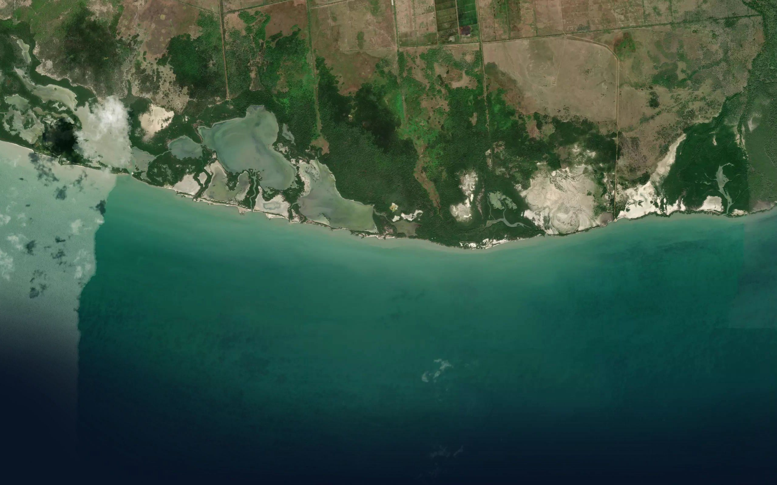 Estero del Muerto