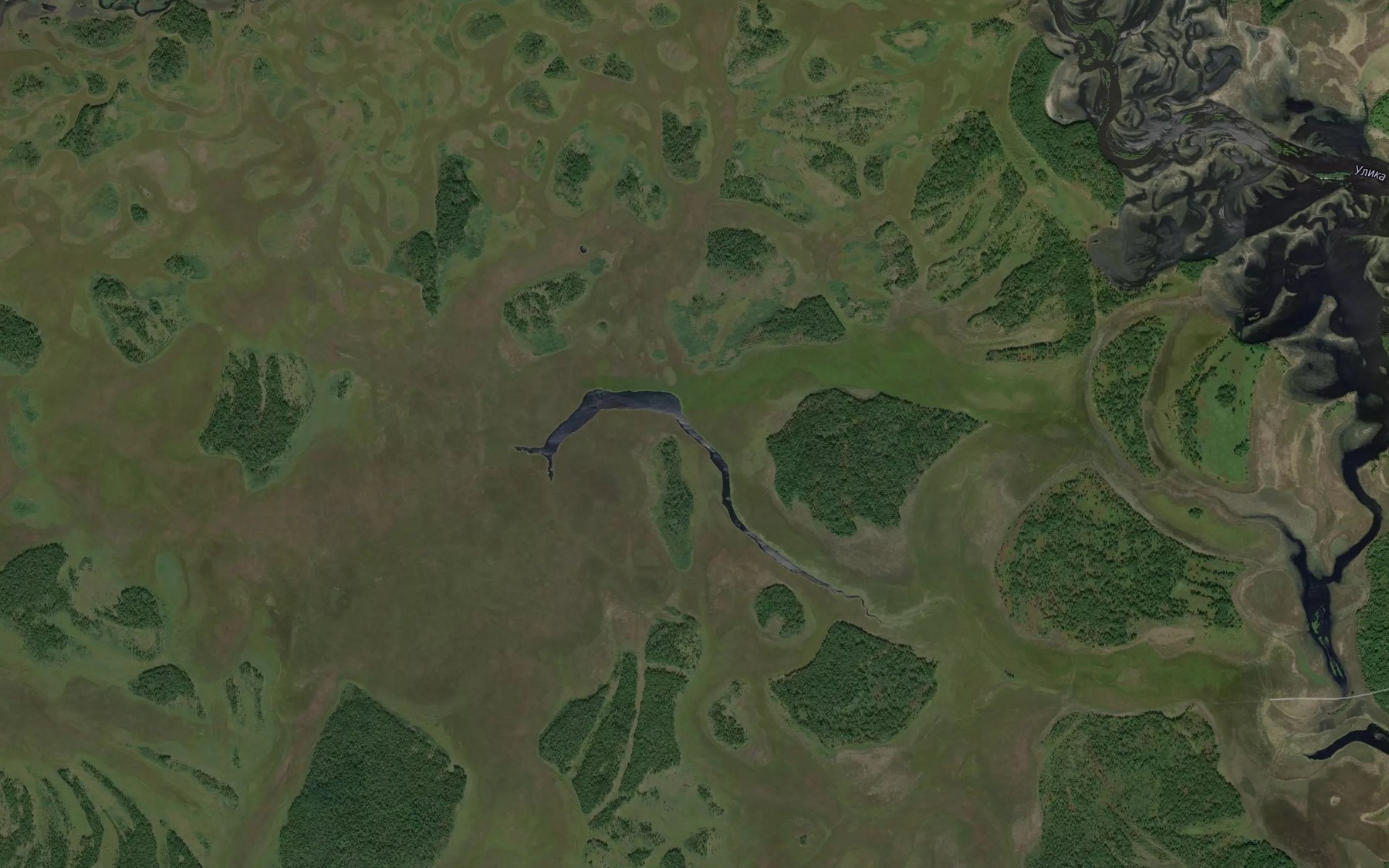 Satellite map of the Ozero Tsvetochnoye