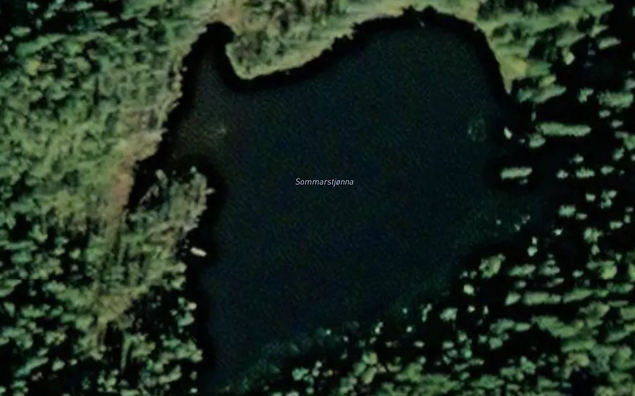 Sommarstjorna