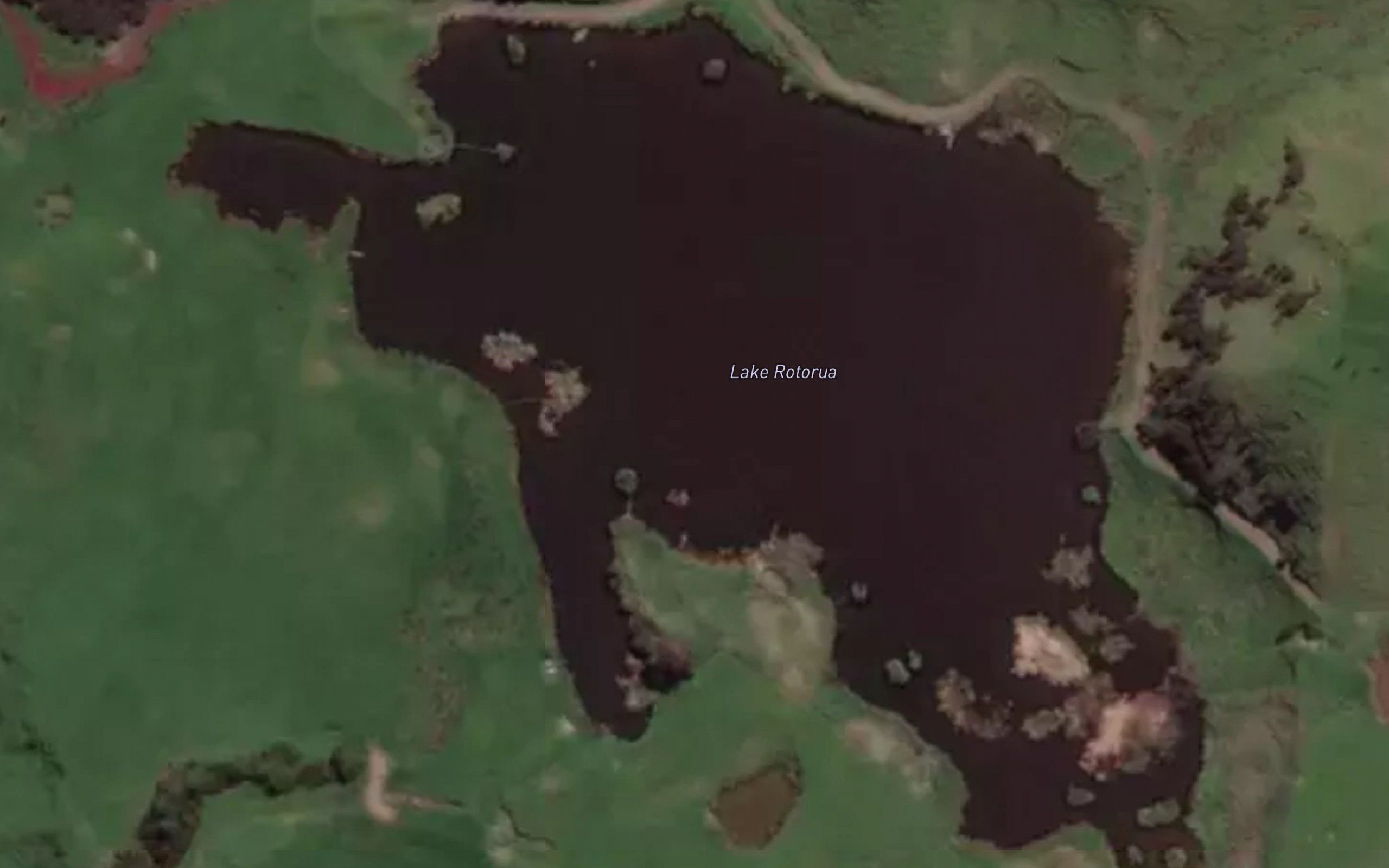 Lake Rotorua