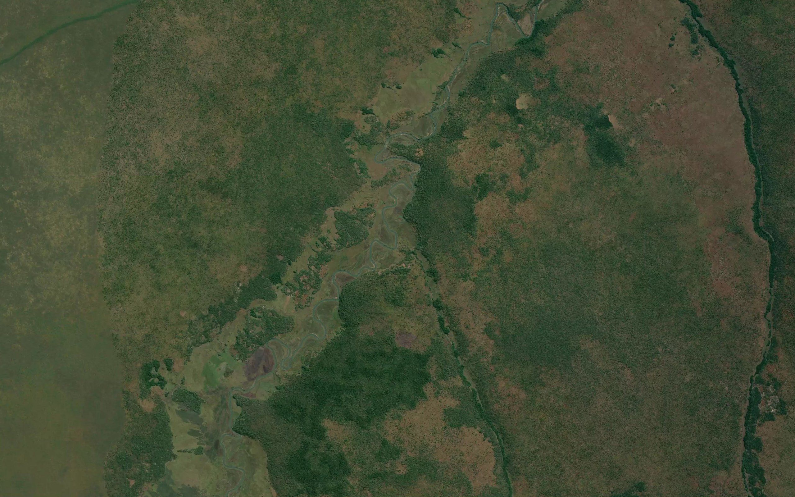 Utamba