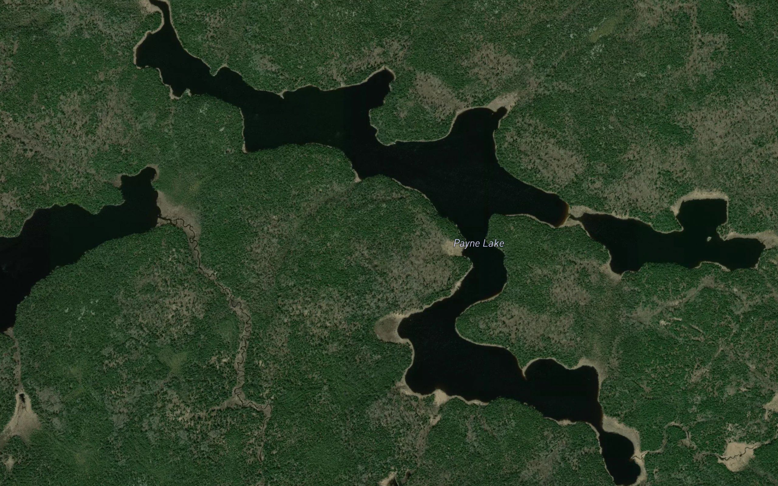 Payne Lake