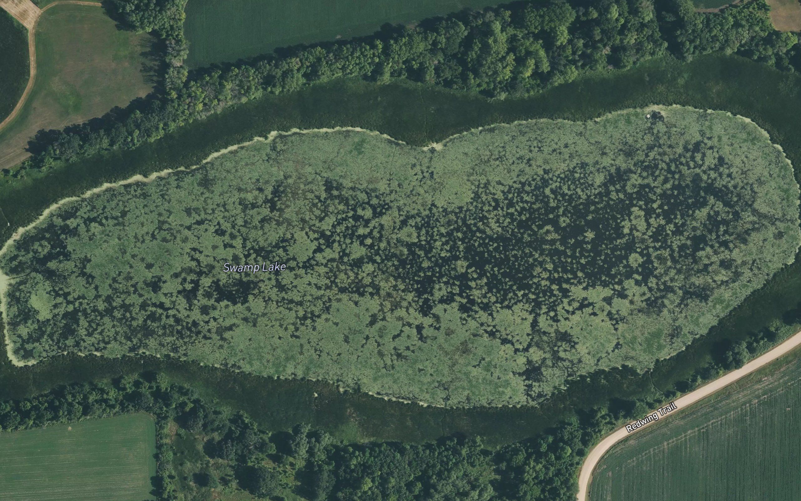 Swamp Lake