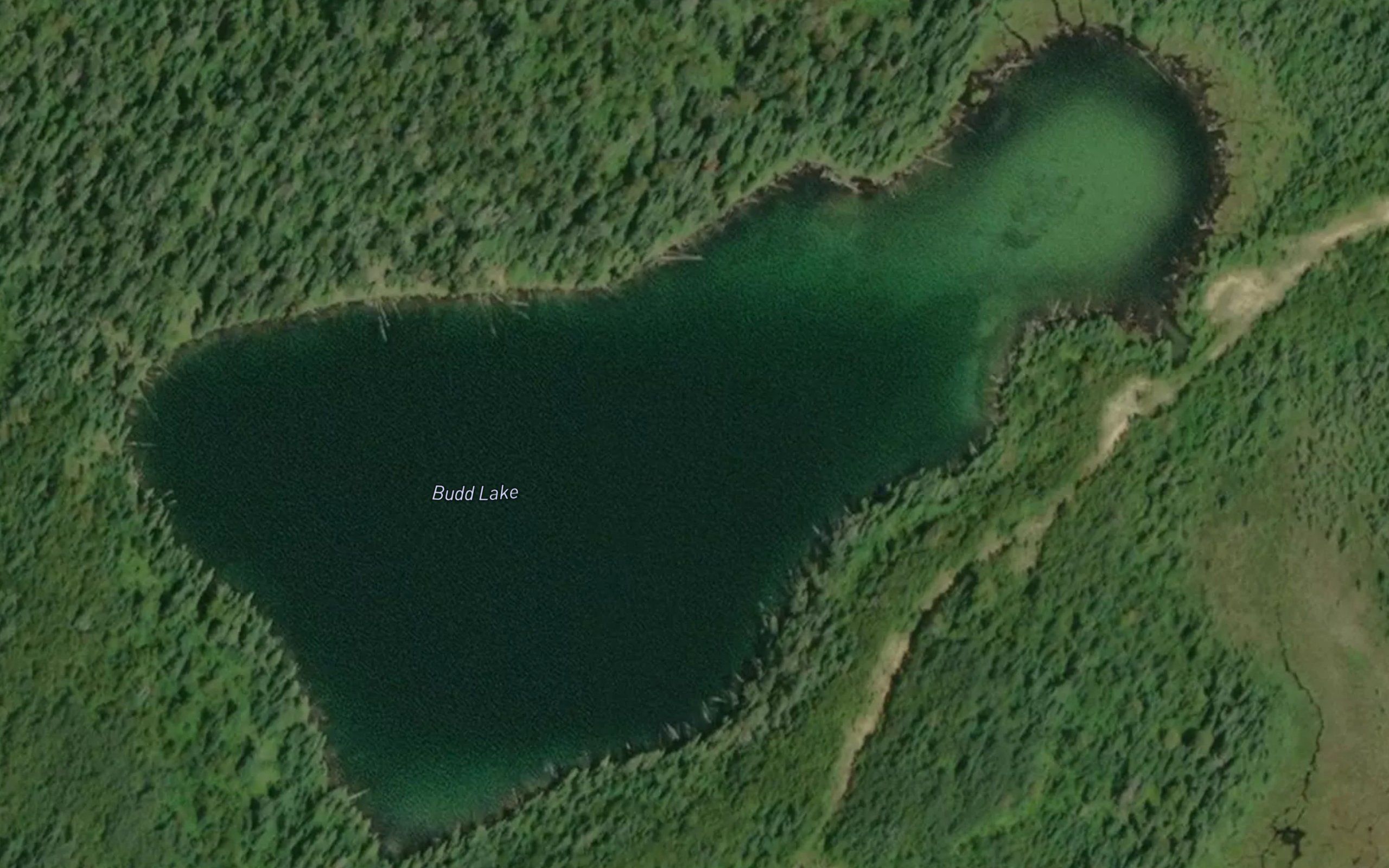 Budd Lake