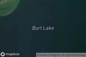 Burt Lake