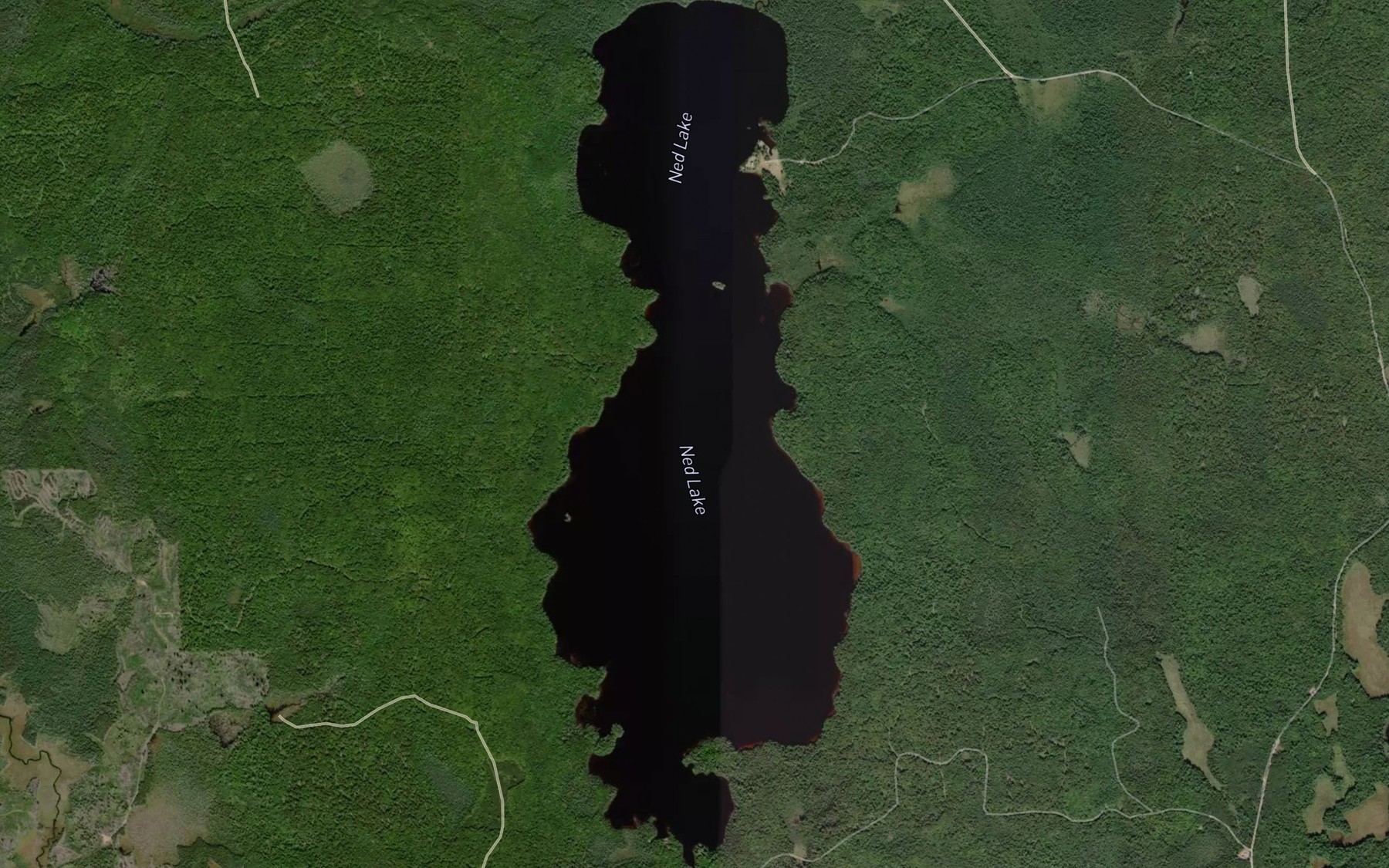 Satellite map of the Ned Lake