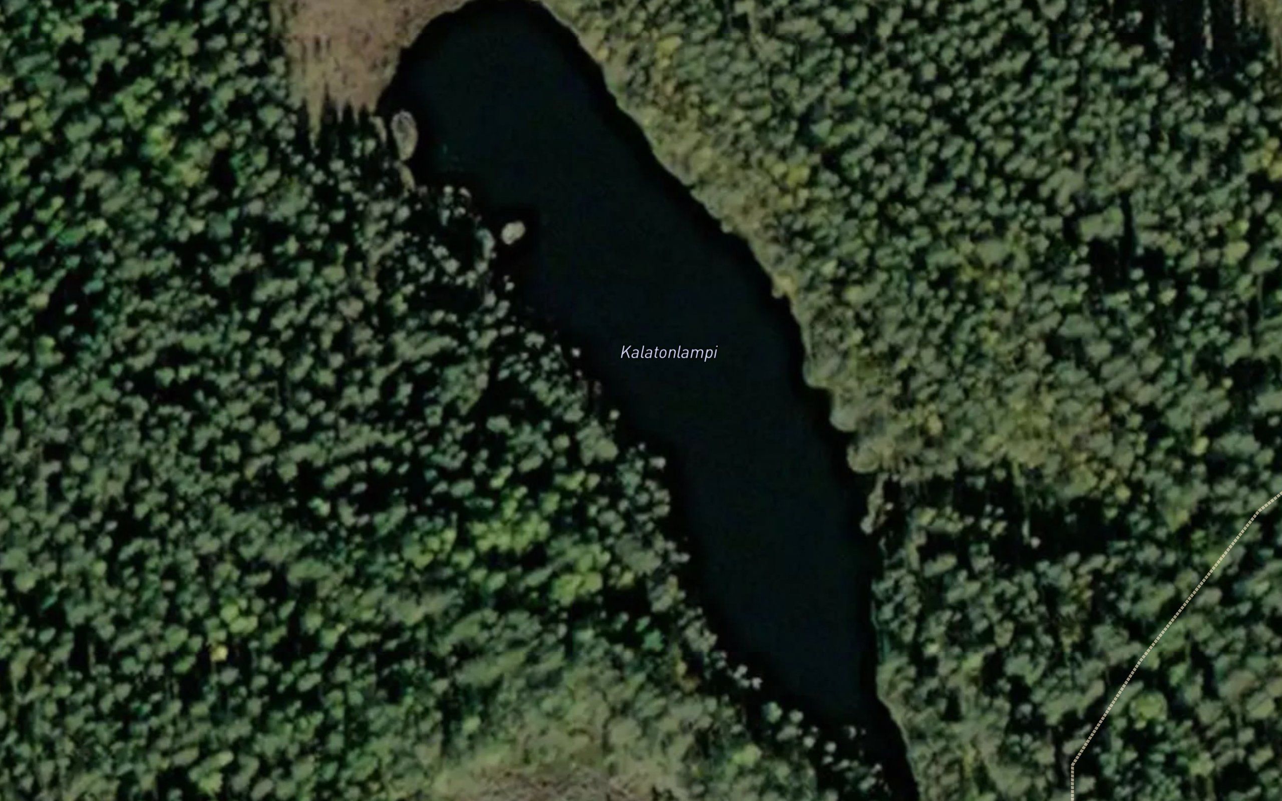Kalatonlampi