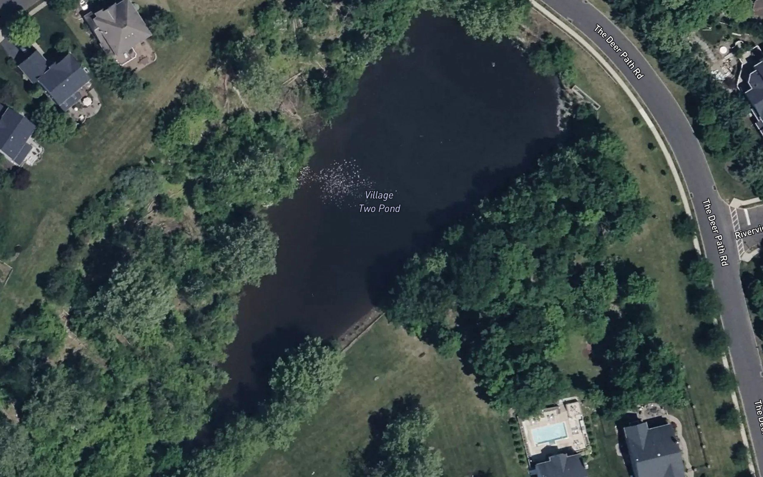 Village Two Pond