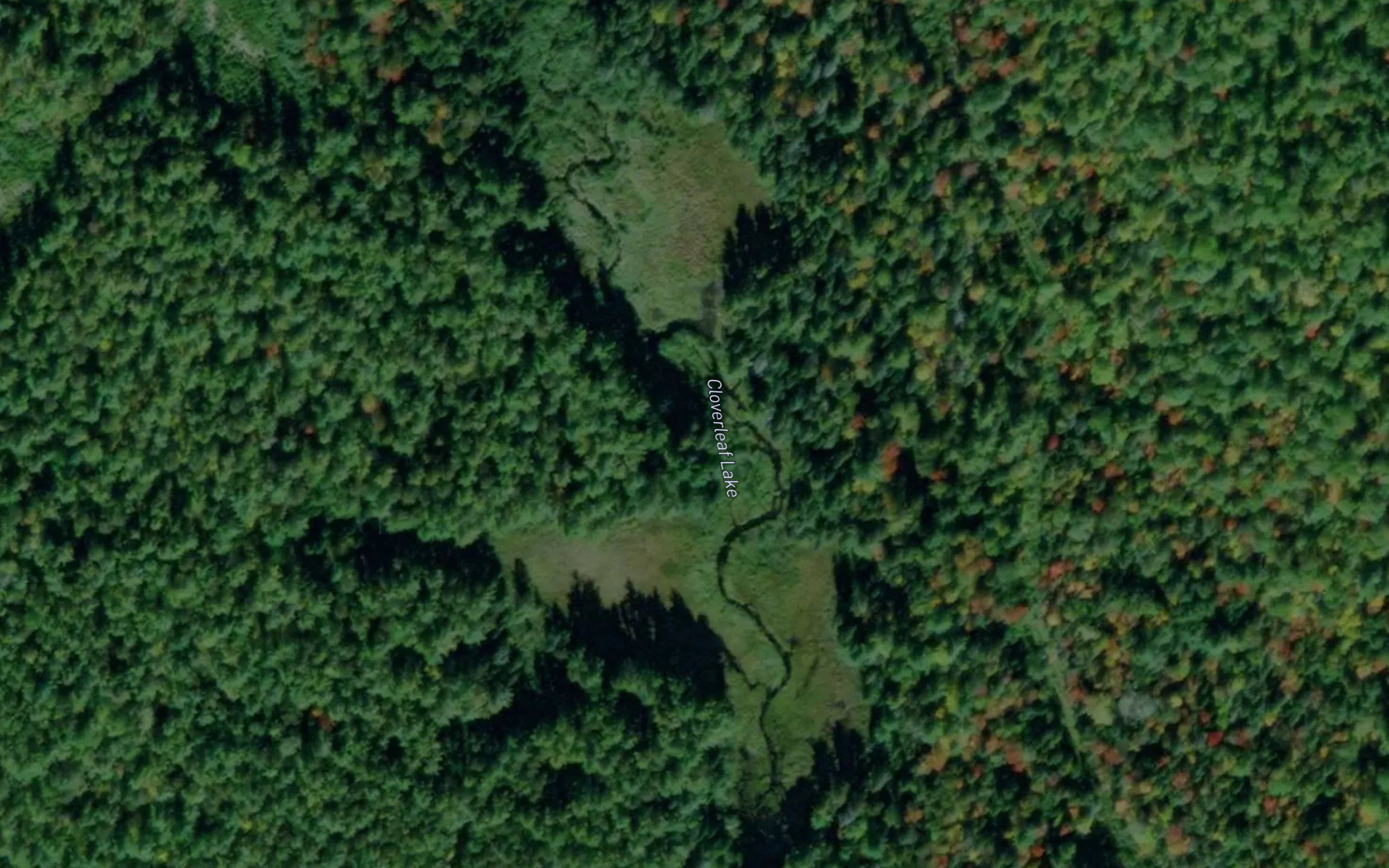 Cloverleaf Lake