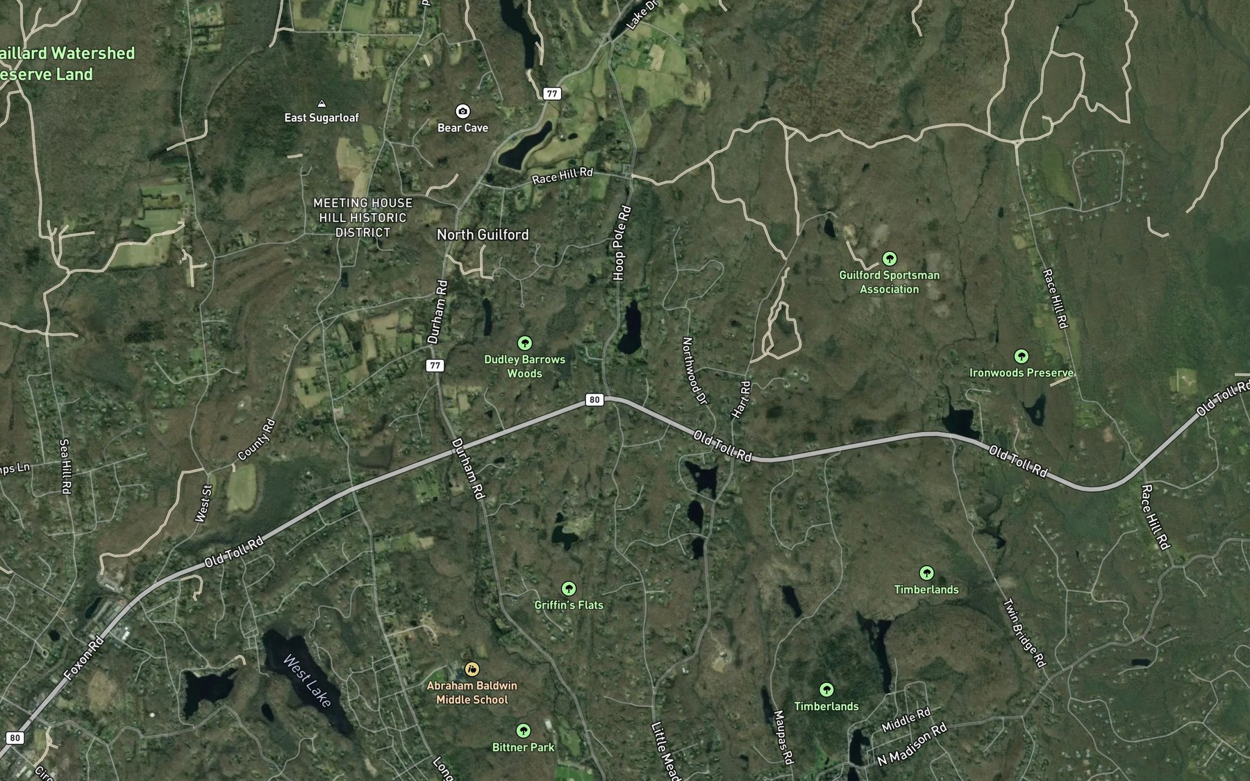 Satellite map of the Kelsey Pond