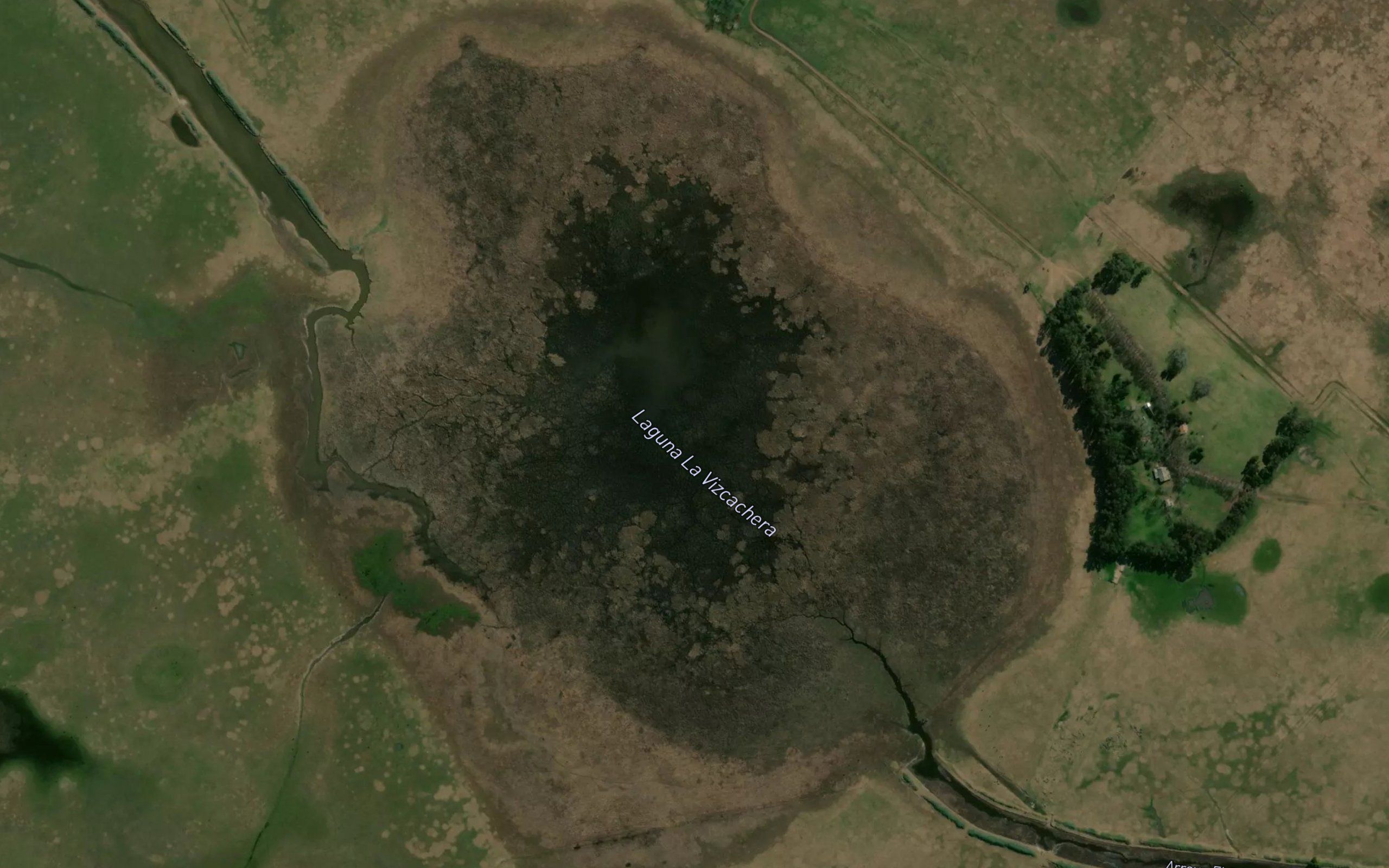 Laguna La Vizcachera