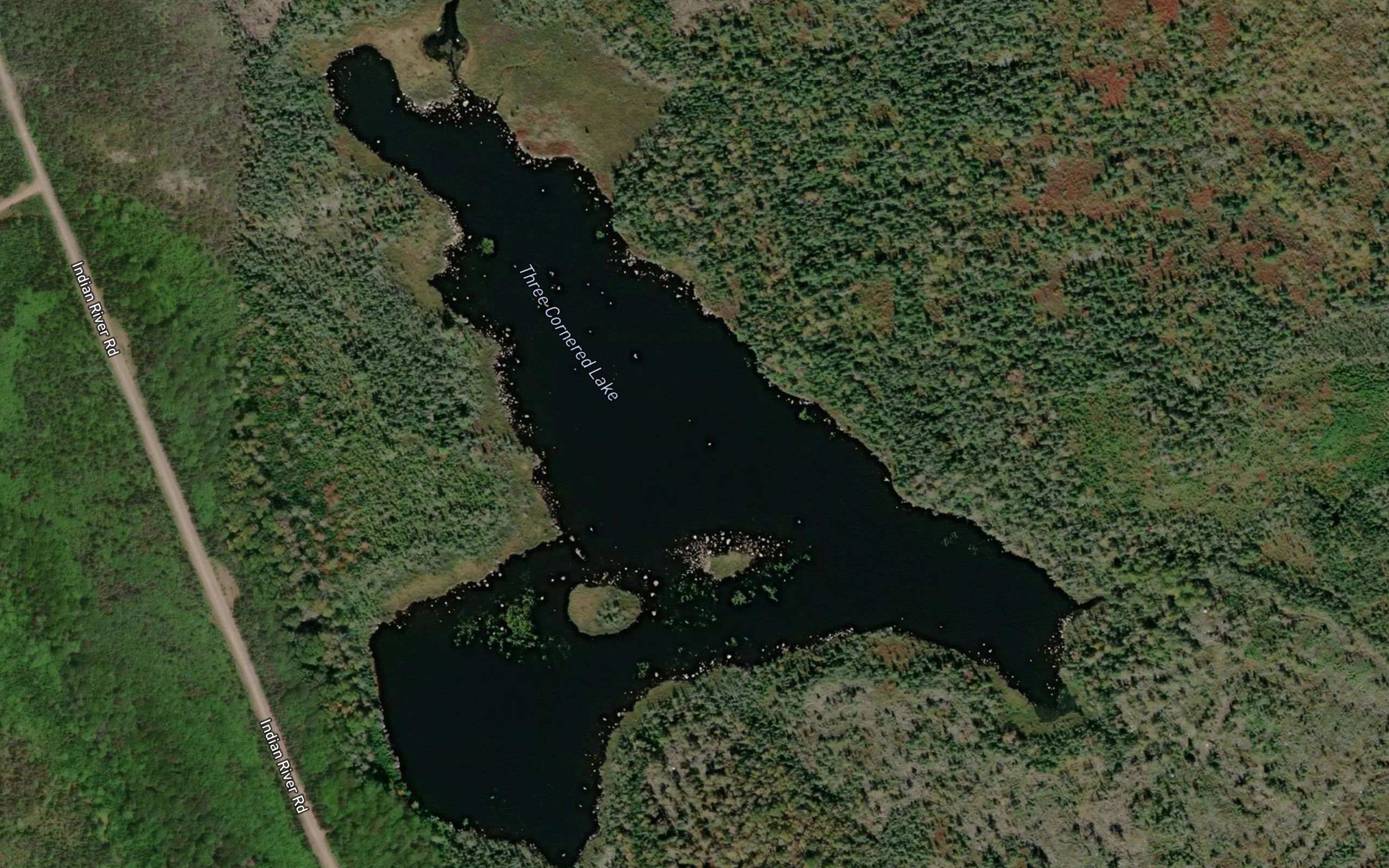 Three Cornered Lake