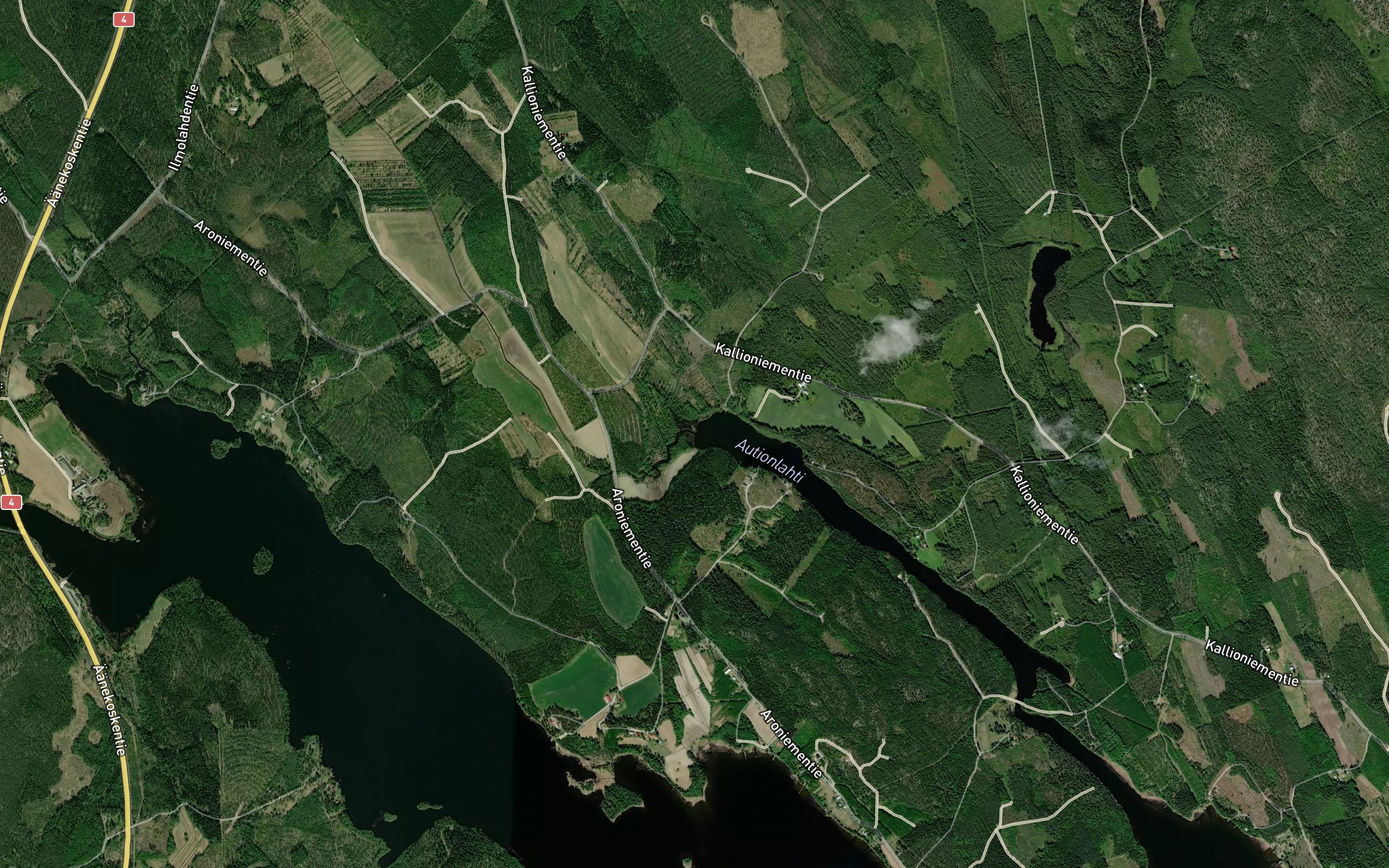 Tiihaanjoki