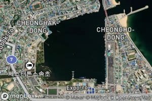 Cheongchoho