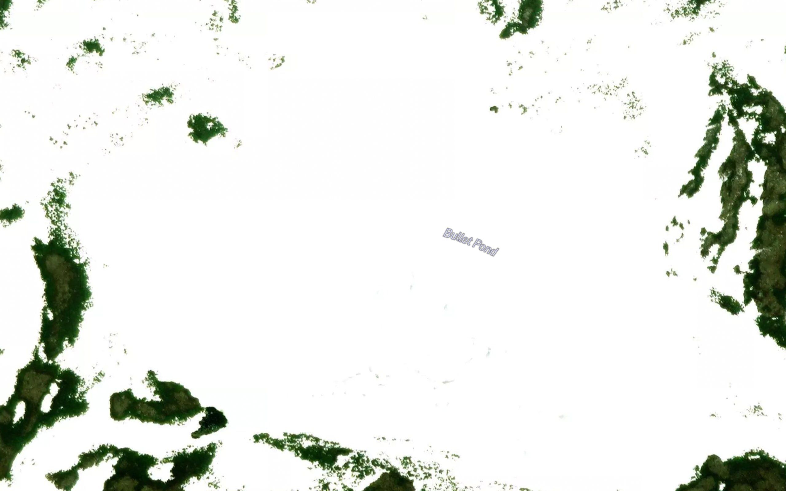 Bullet Pond