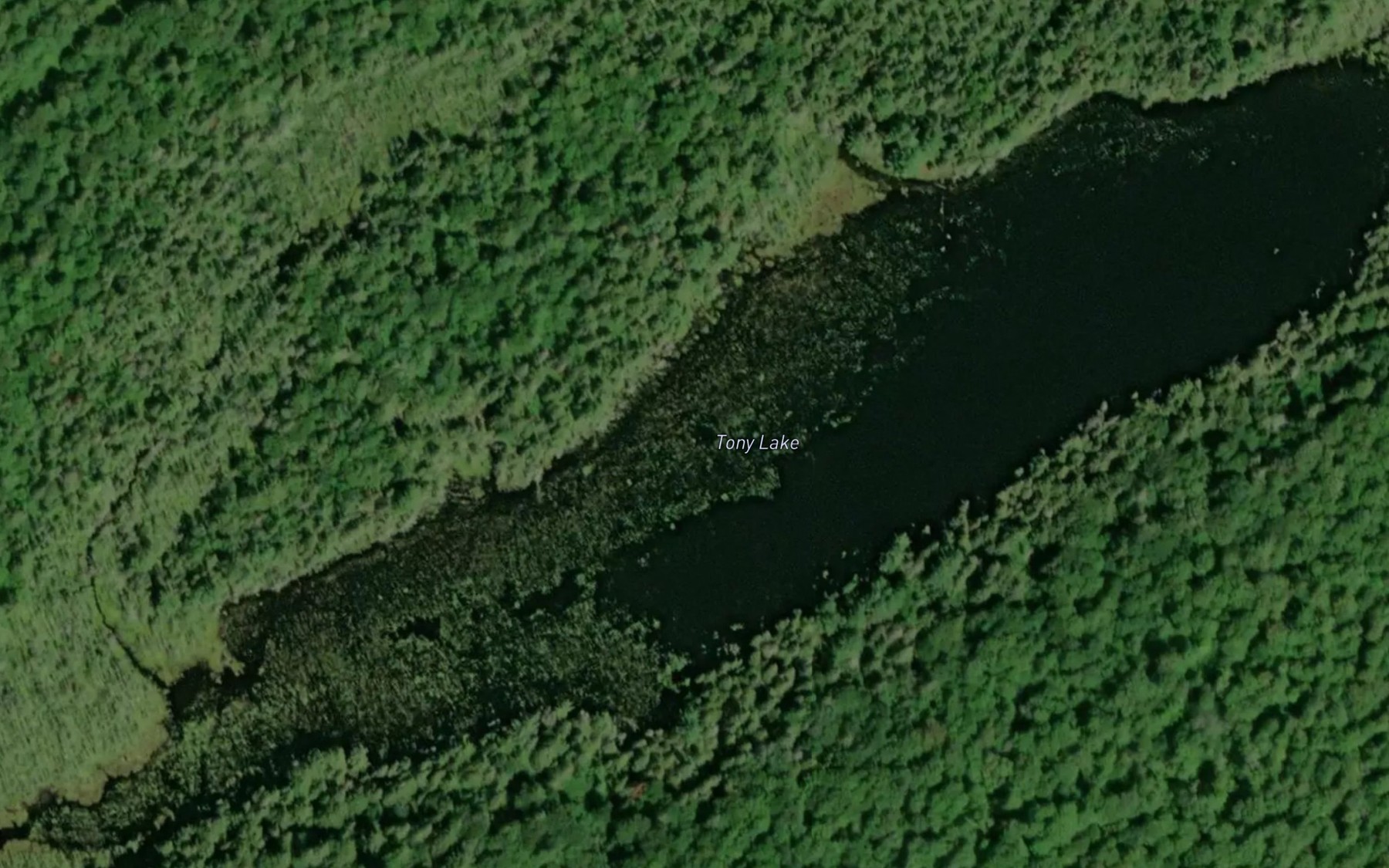 Satellite map of the Tony Lake