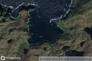 Haanugix