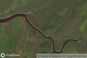 Mossy River