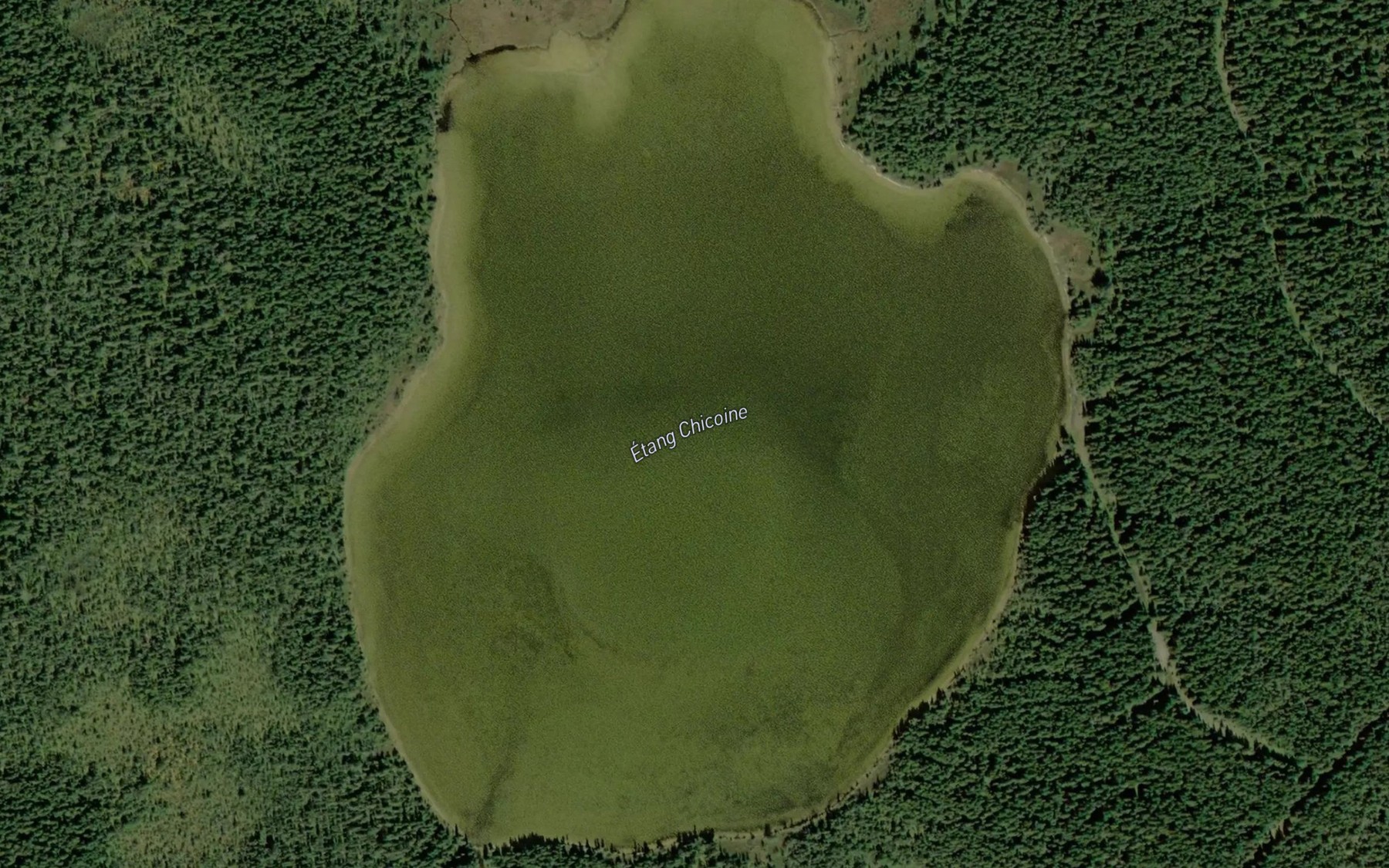 Satellite map of the Etang Chicoine