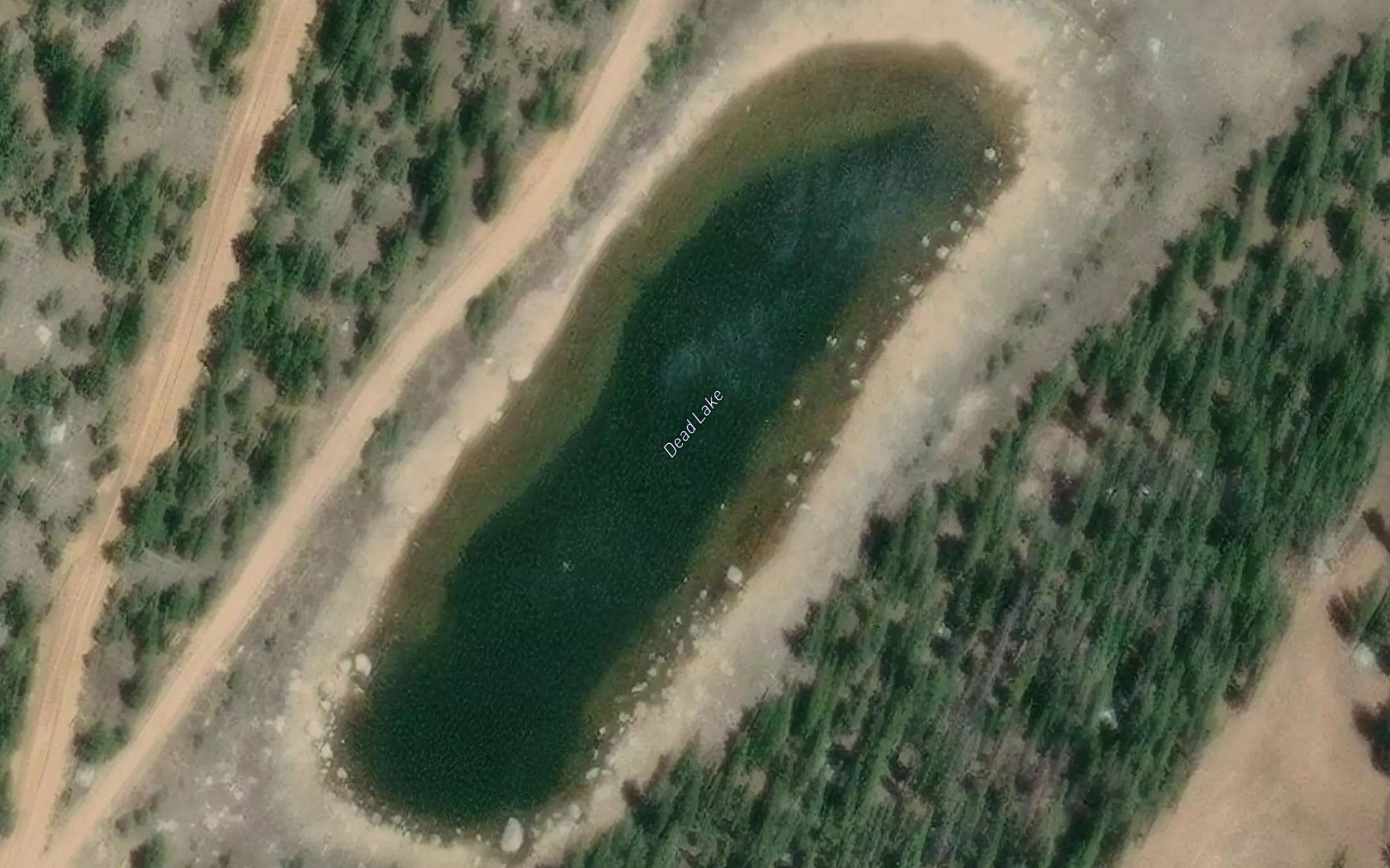 Dead Lake