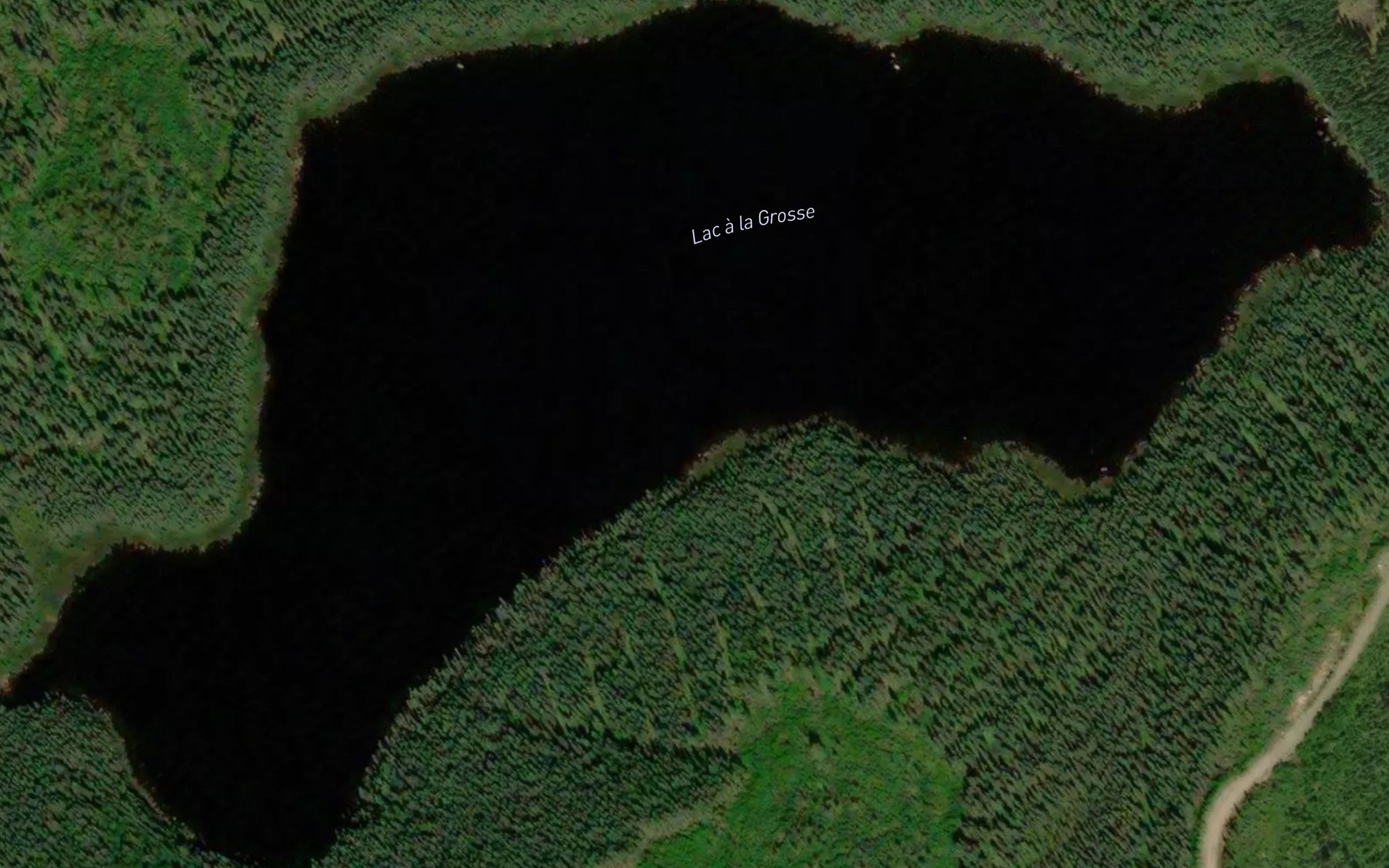 Satellite map of the Lac a la Grosse