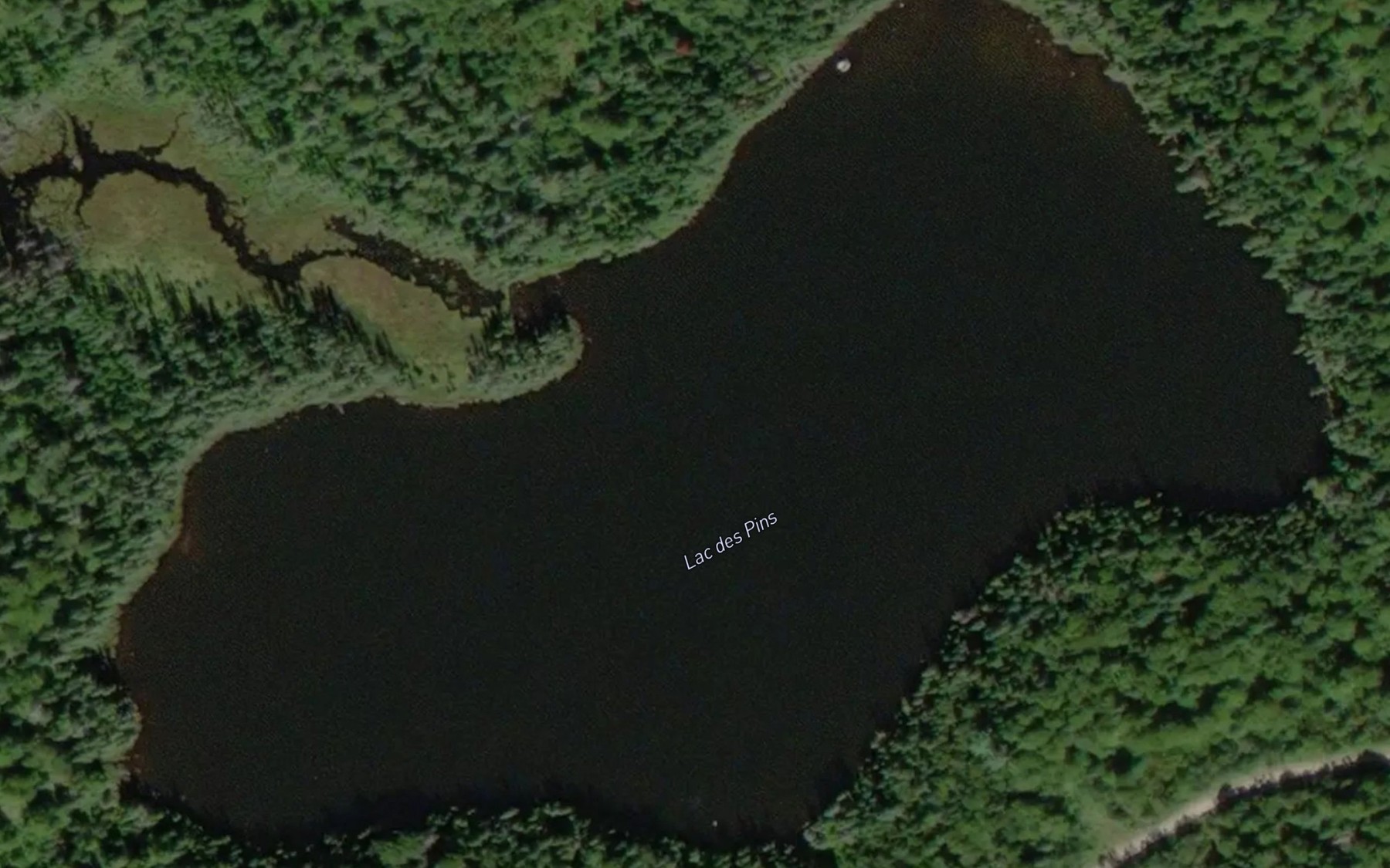 Satellite map of the Lac des Pins