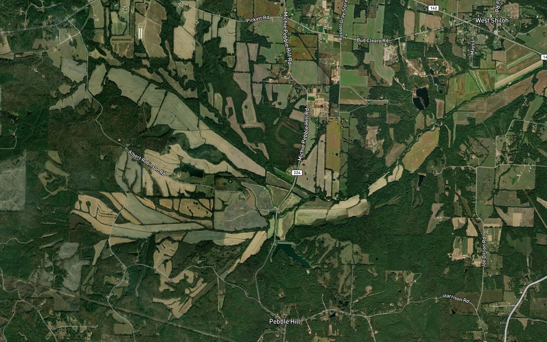 Satellite map of the Spring Branch