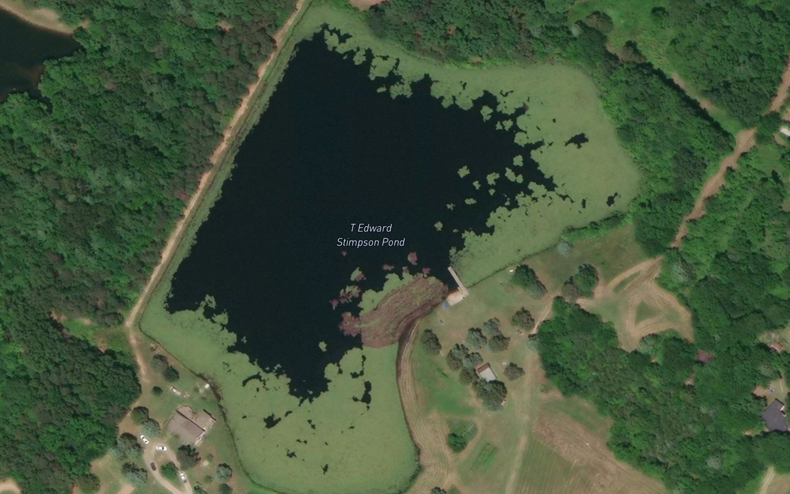 T Edward Stimpson Pond