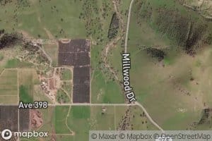 Wilcox Creek