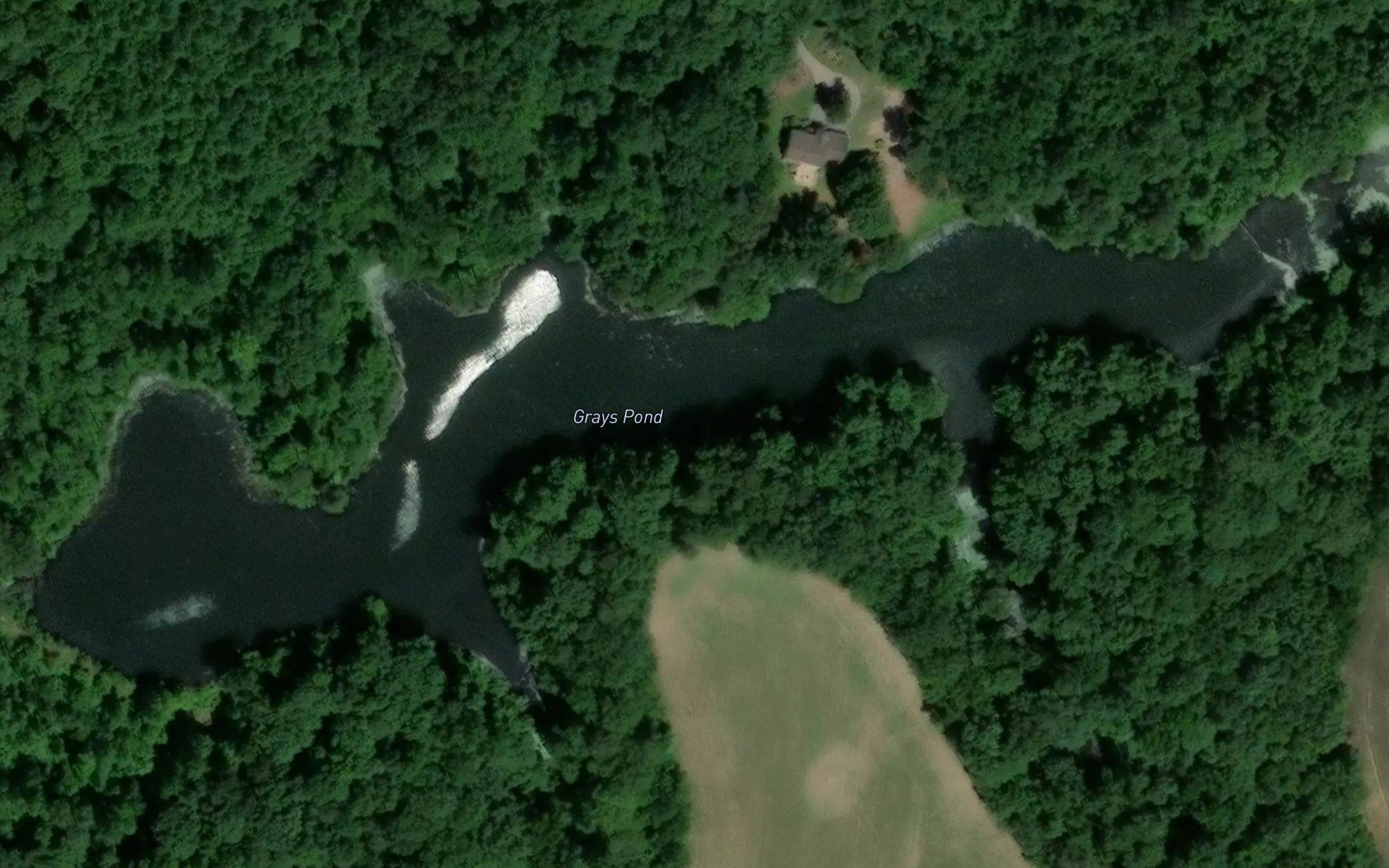 Grays Pond