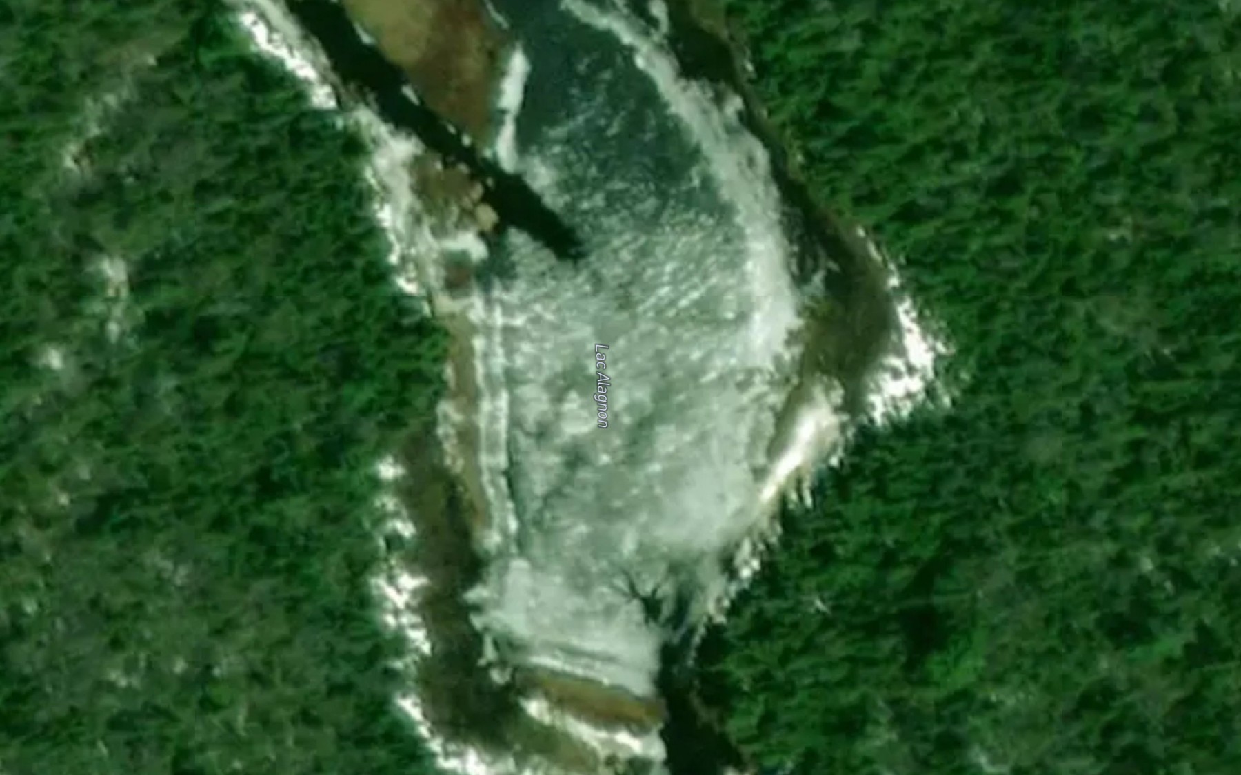 Satellite map of the Lac Alagnon