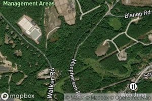 Walker Brook