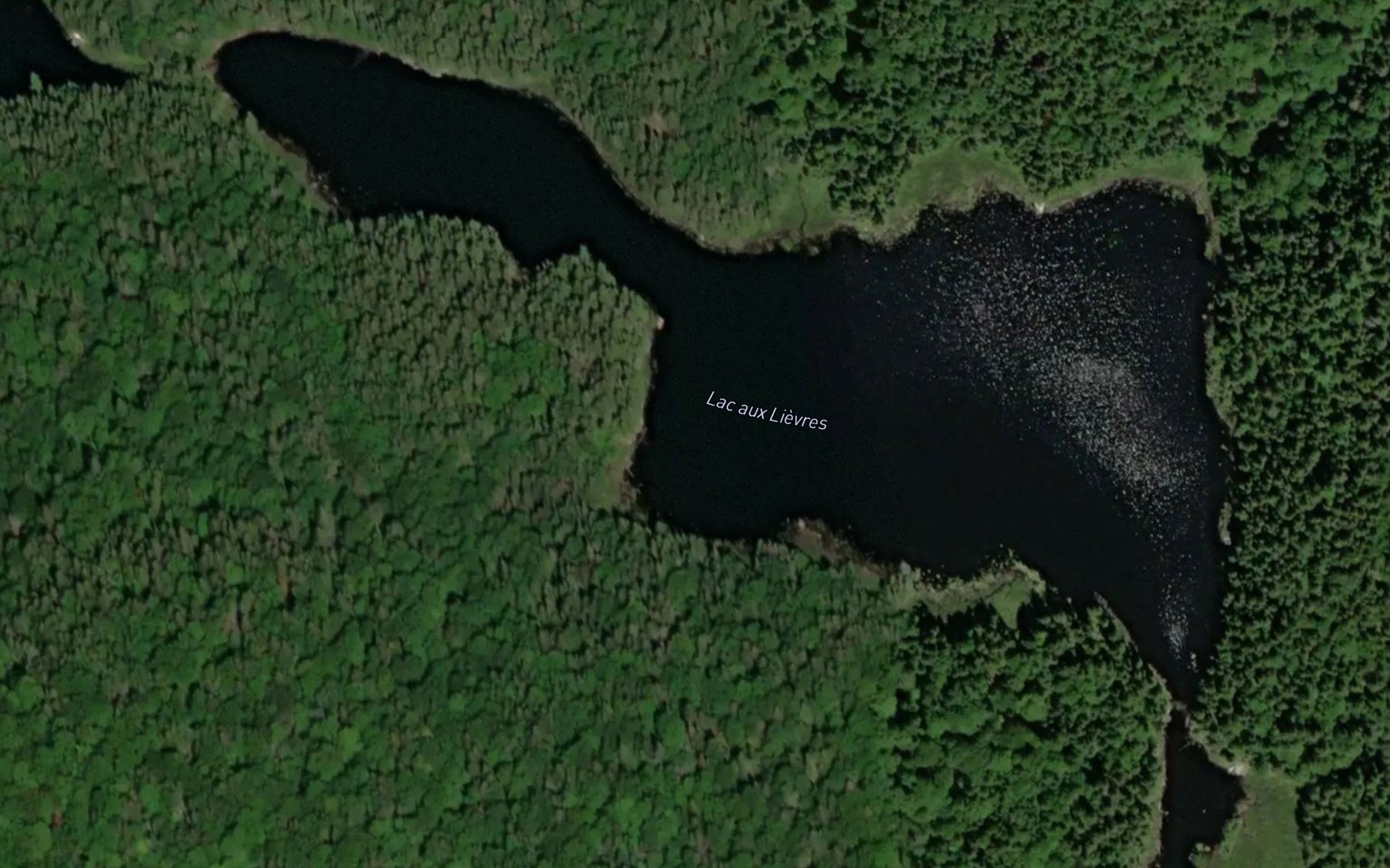 Satellite map of the Lac aux Lievres