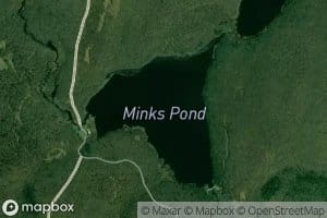 Minks Pond