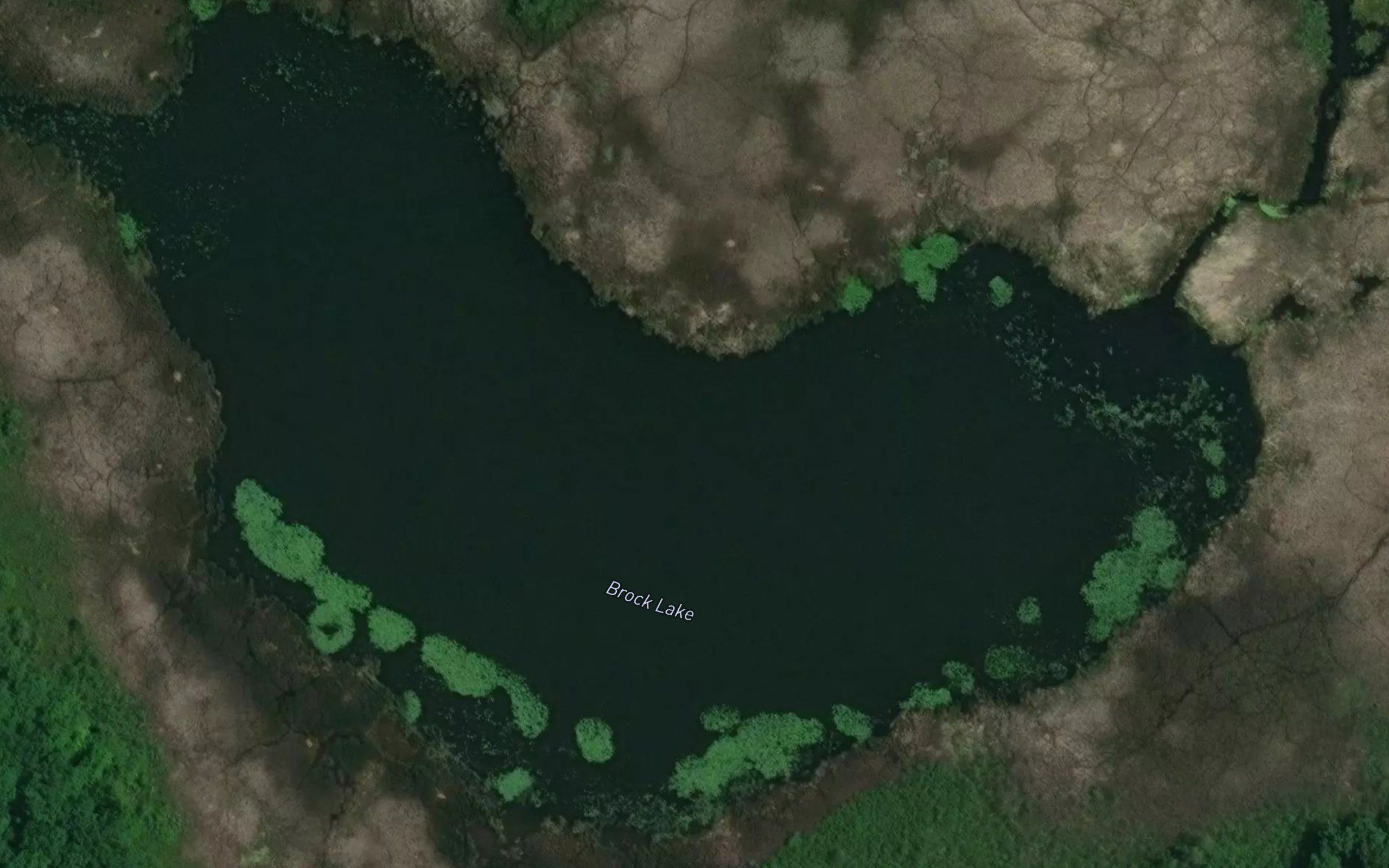 Brock Lake