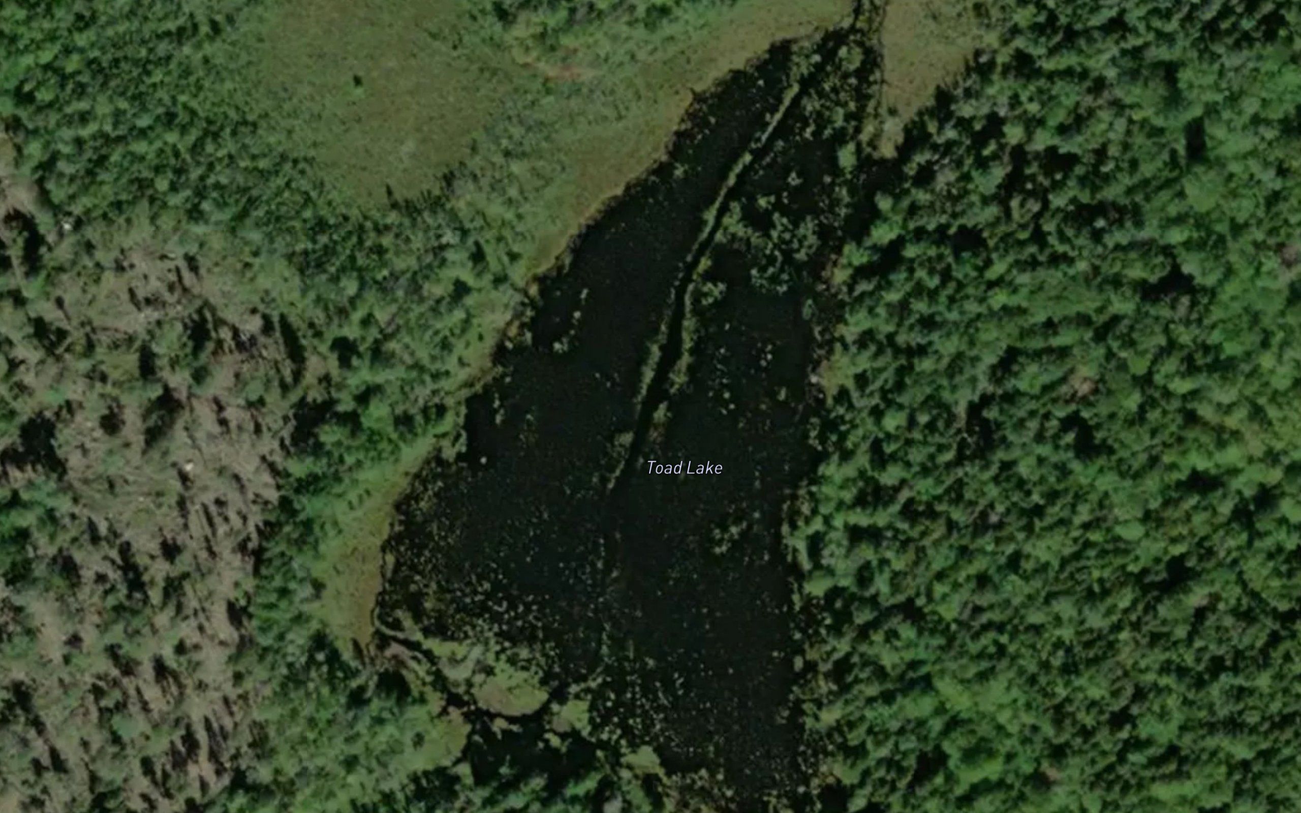 Toad Lake