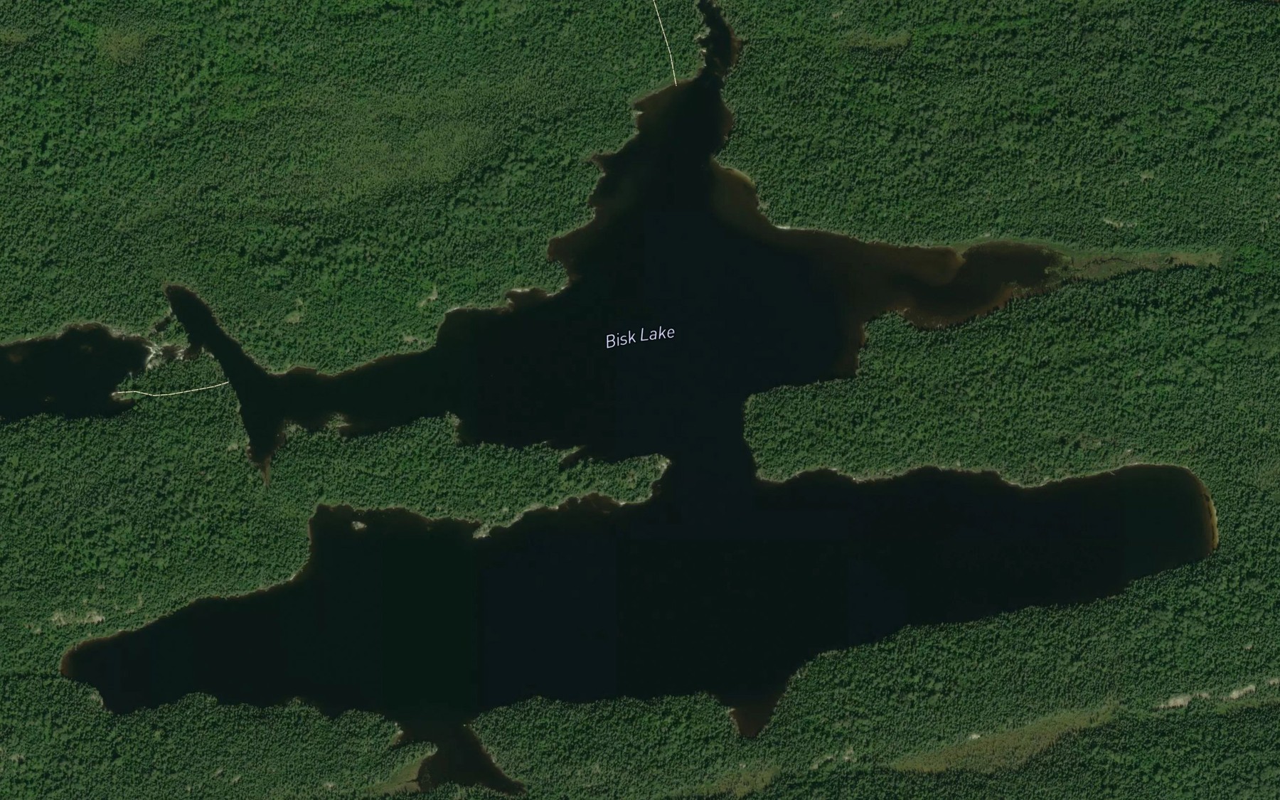 Satellite map of the Bisk Lake