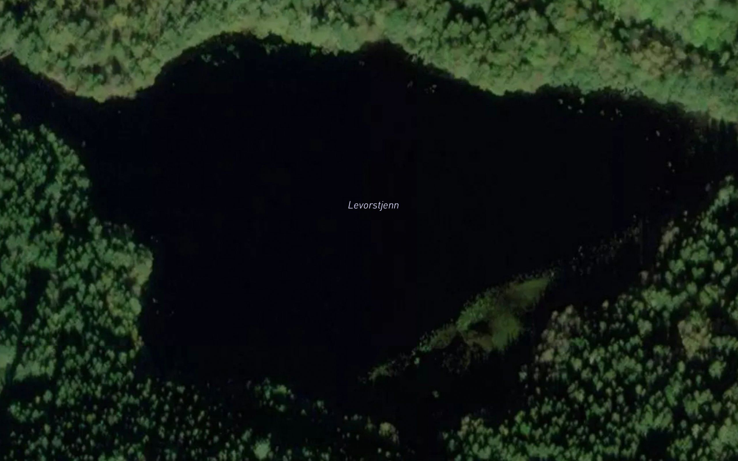 Levorstjorn