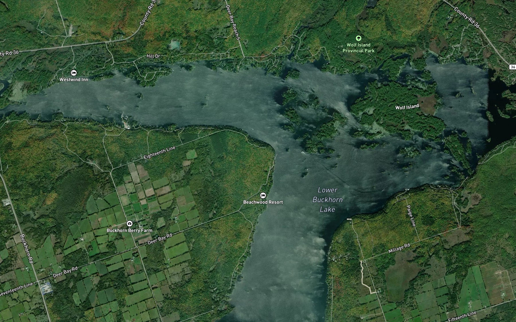 Satellite map of the Lower Buckhorn Lake