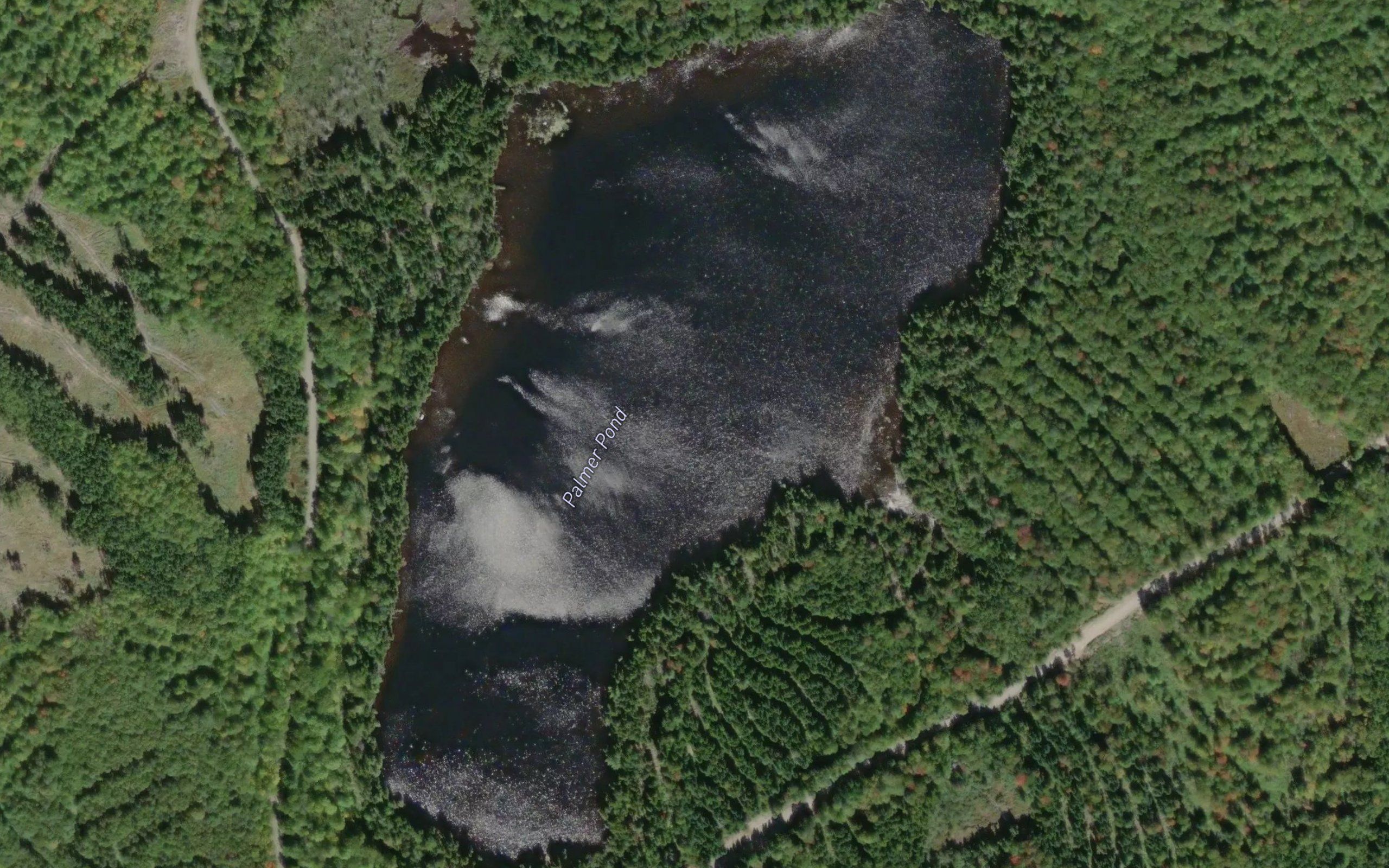 Palmer Pond