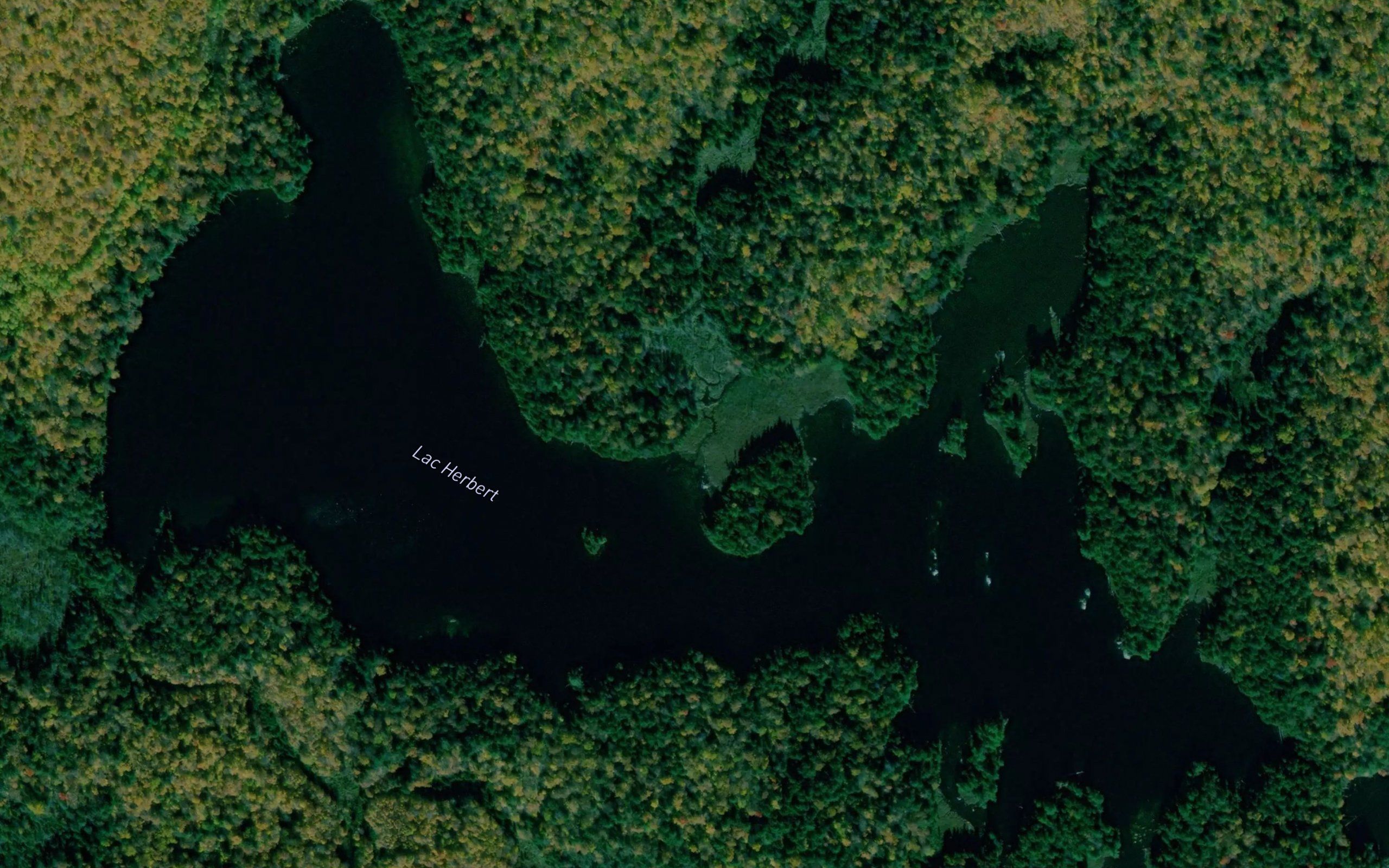 Lac Herbert