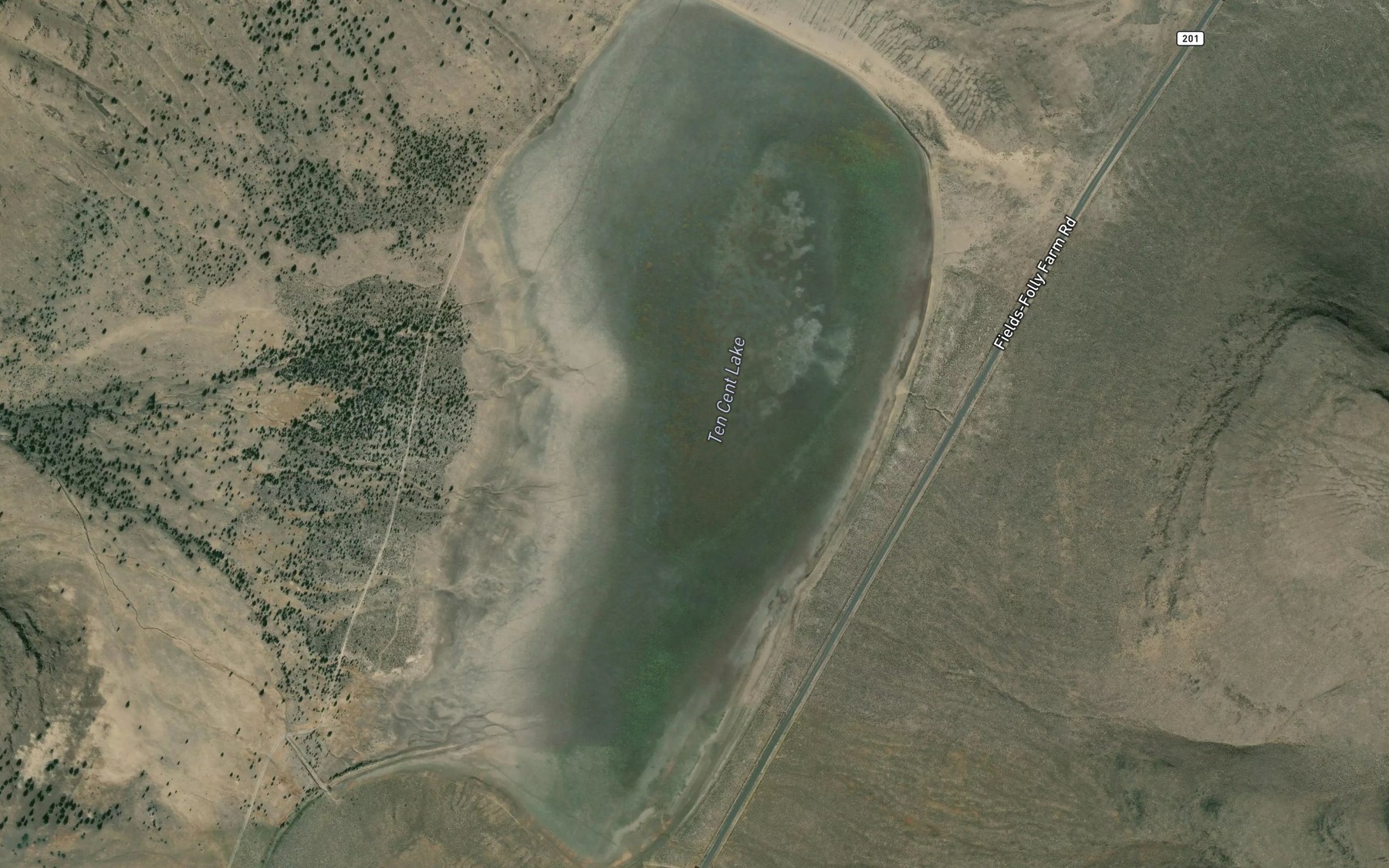 Satellite map of the Ten Cent Lake