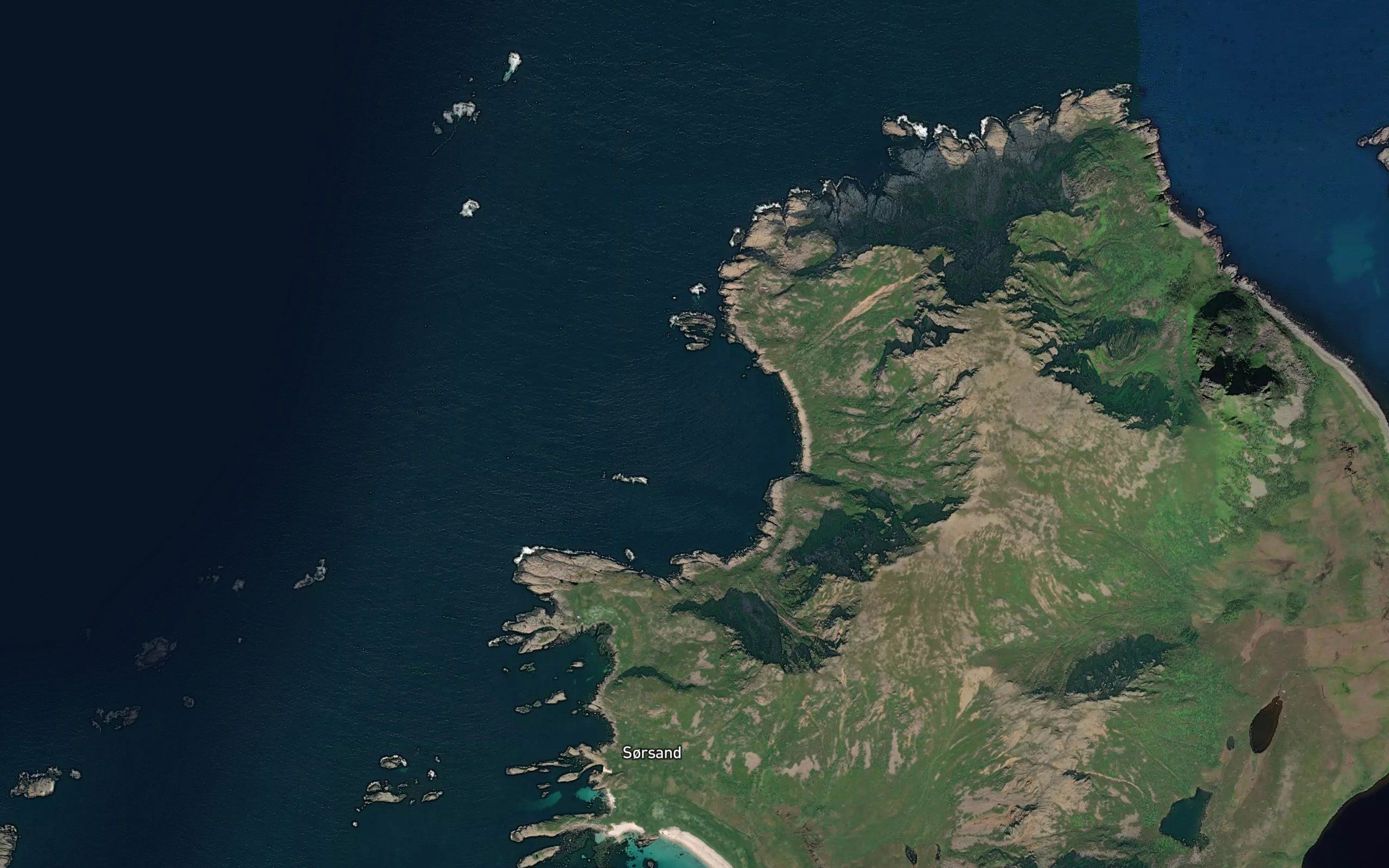 Vajevika
