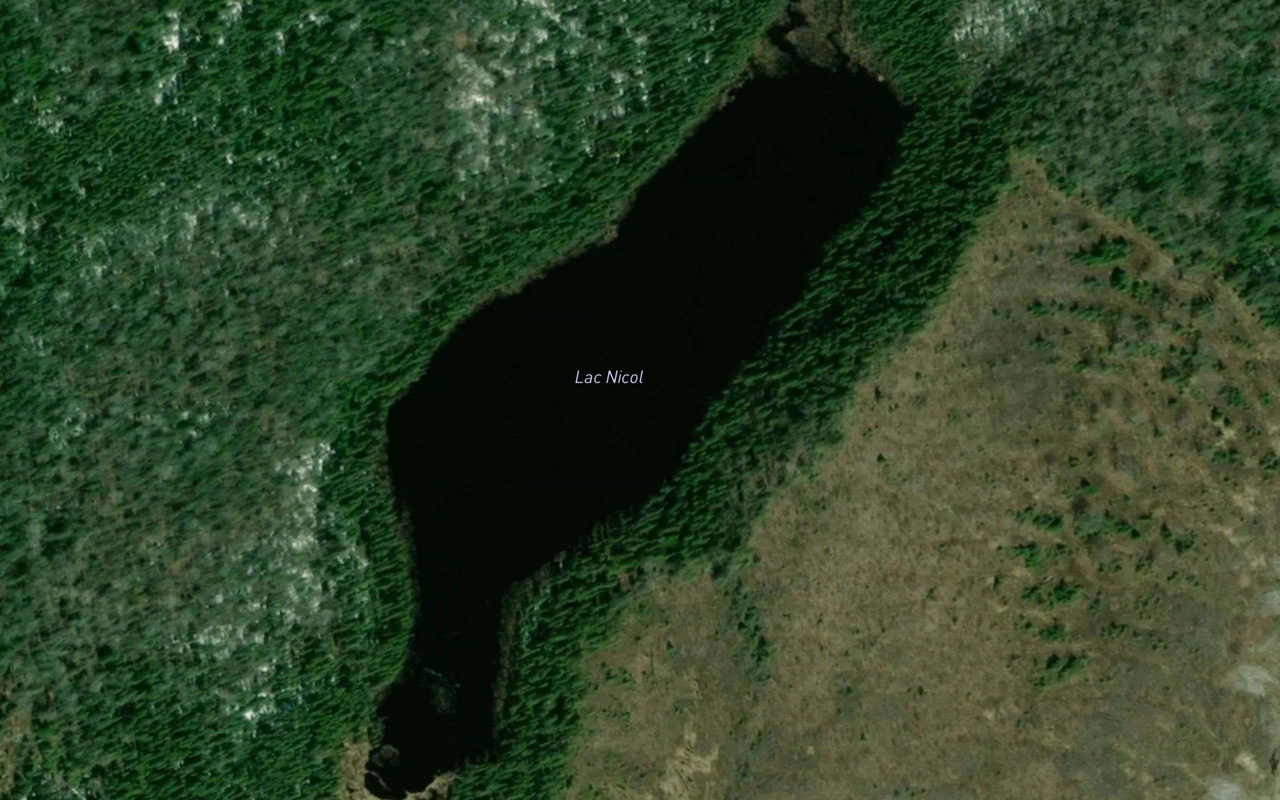 Lac Nicol