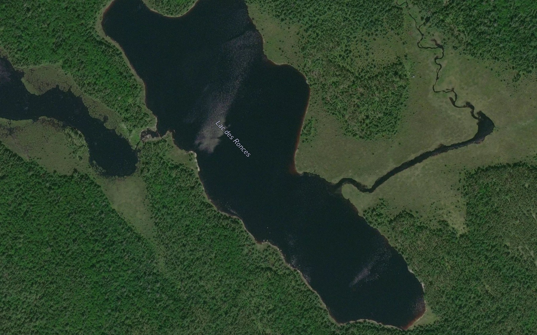 Satellite map of the Lac des Ronces